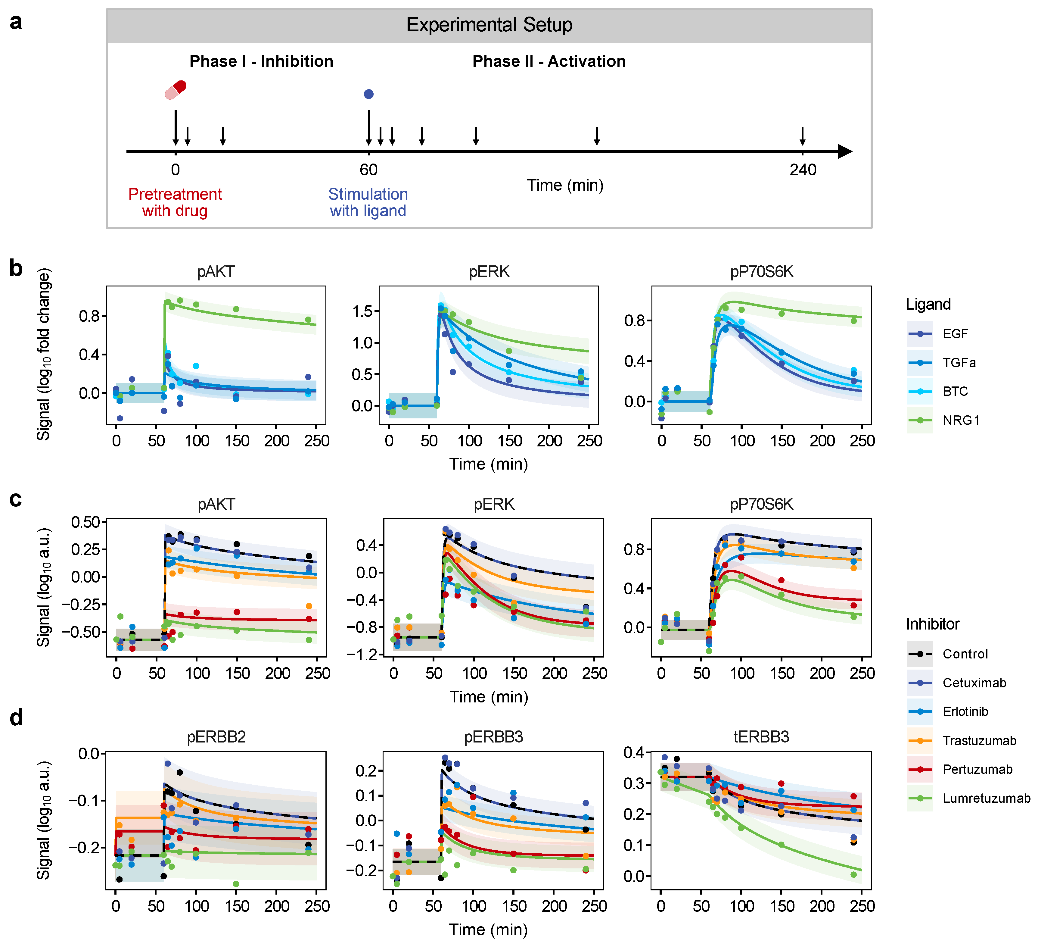 Cancers 14 02379 g003 Cancers 14 02379 g003
