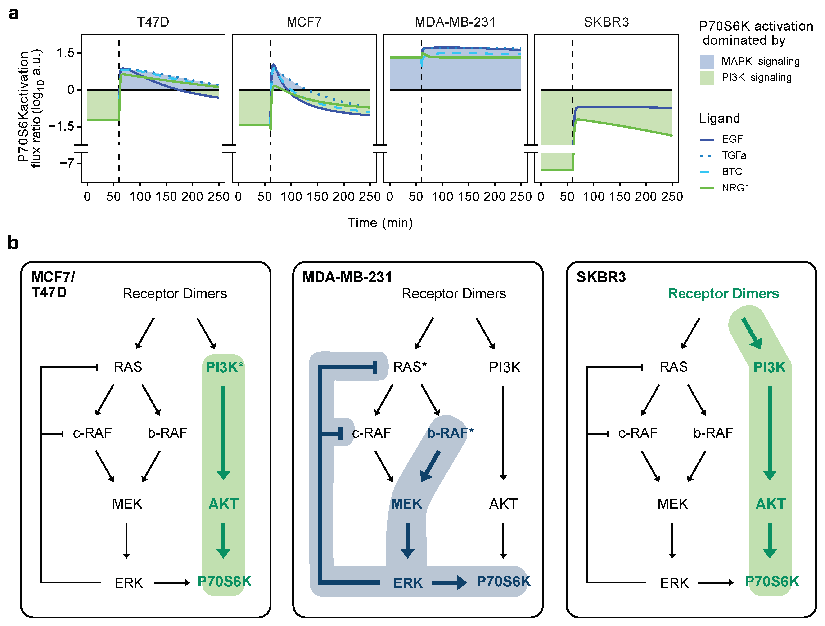 Cancers 14 02379 g006 Cancers 14 02379 g006