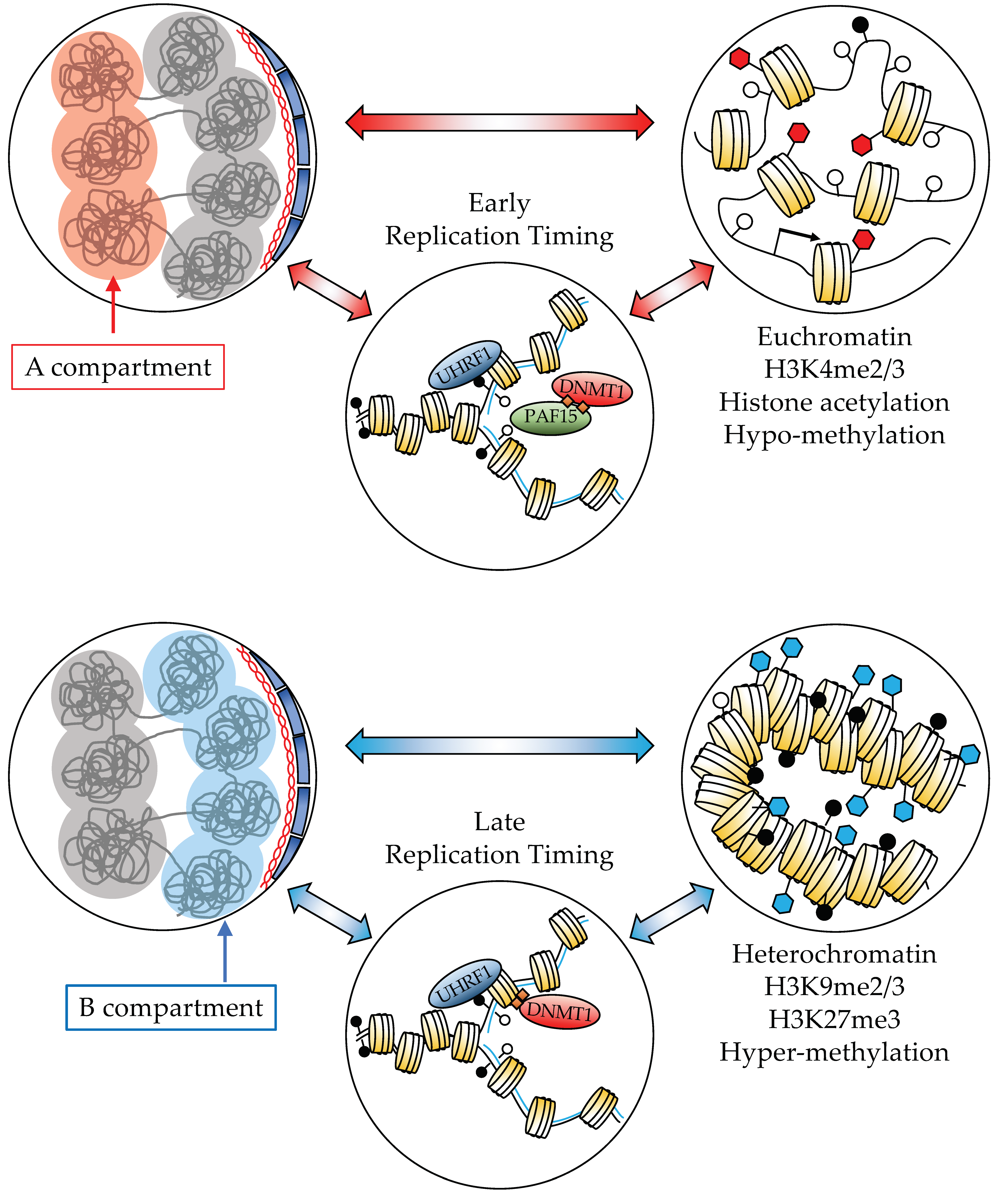 Cancers 14 02384 g003 550