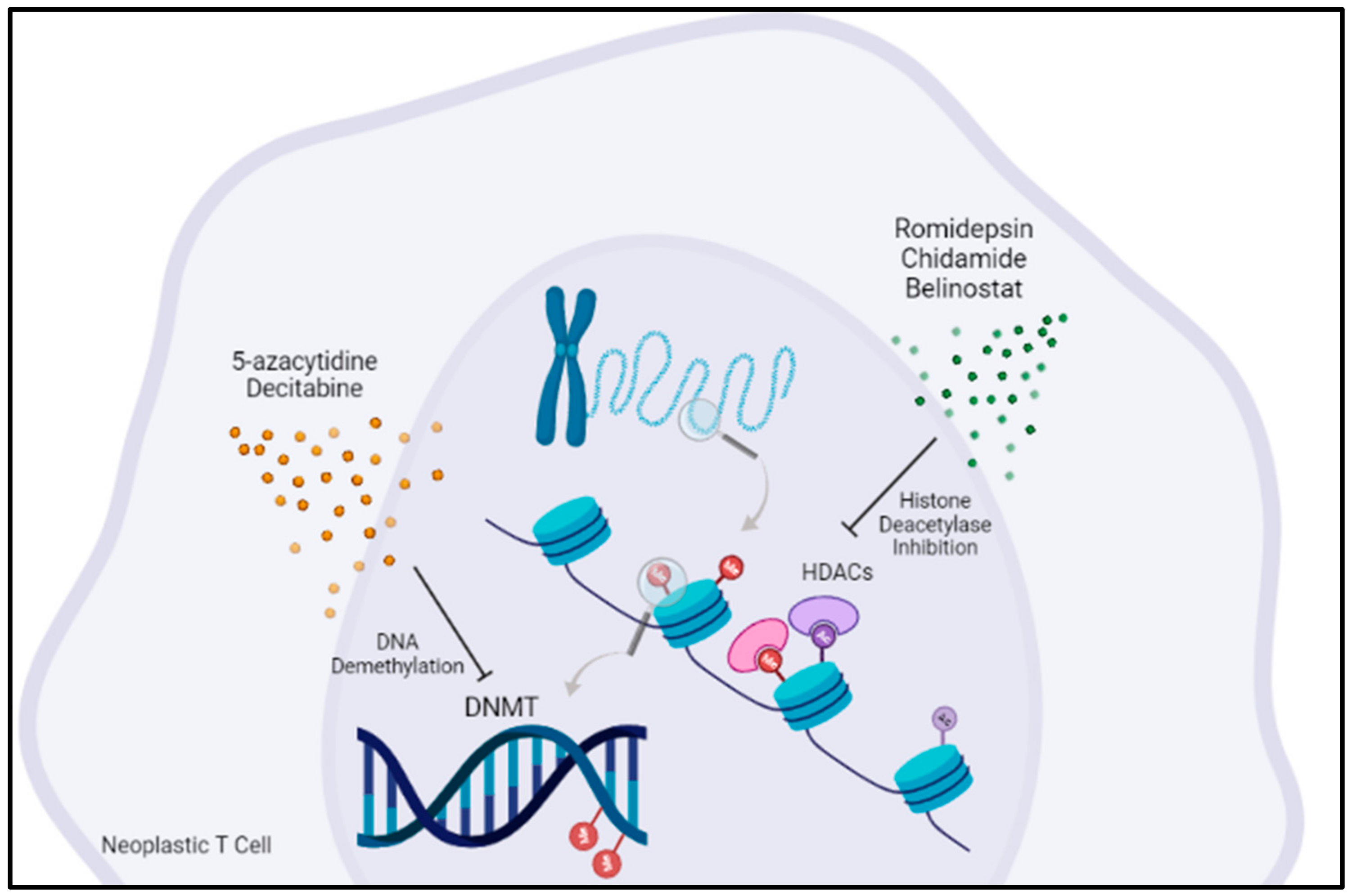 Cancers 14 02392 g001 Cancers 14 02392 g001