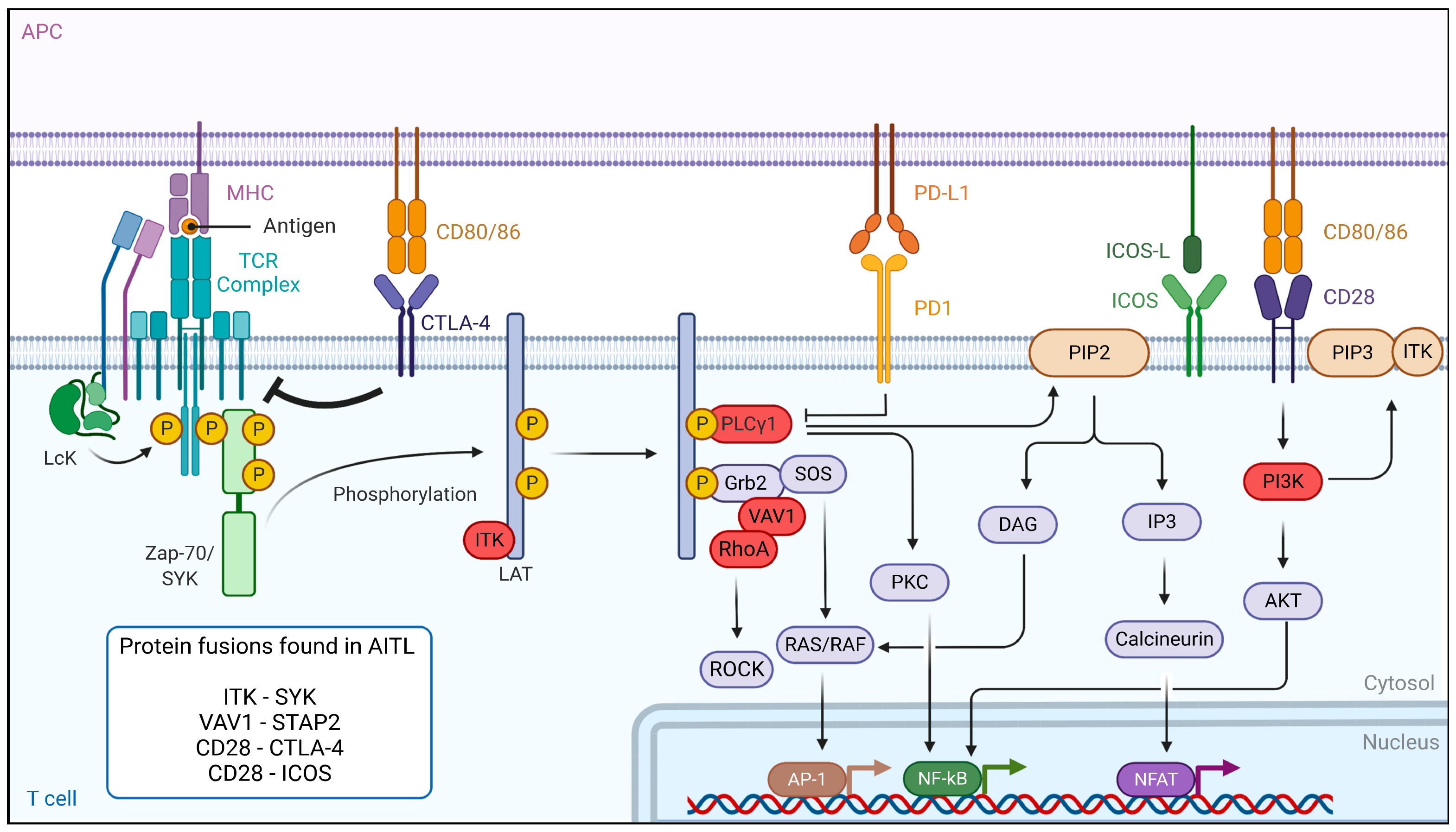 Cancers 14 02392 g003 Cancers 14 02392 g003