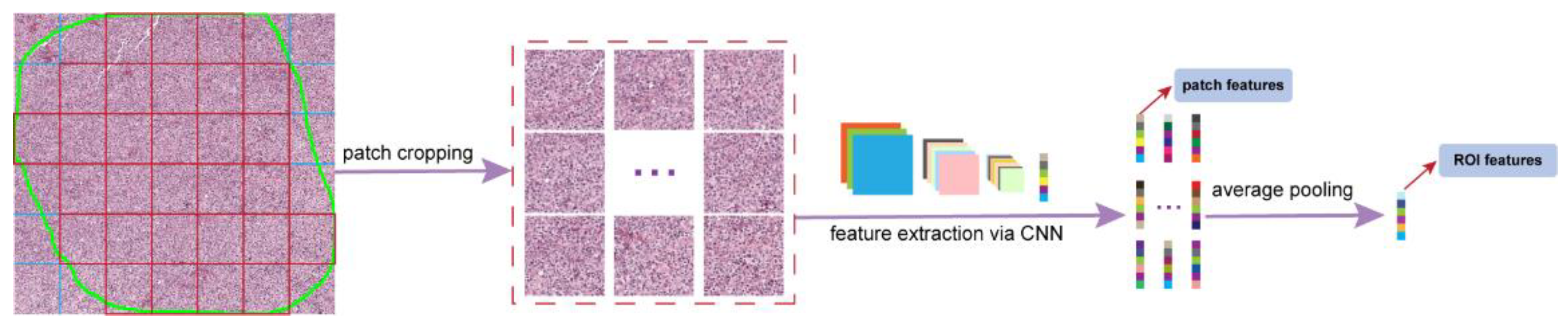 Cancers 14 02398 g003