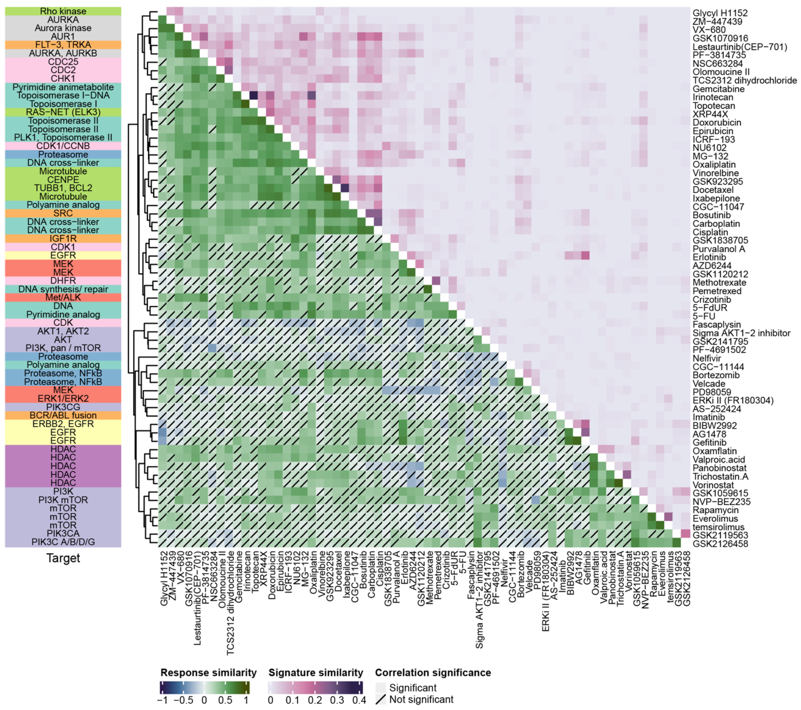 Cancers 14 02404 g002