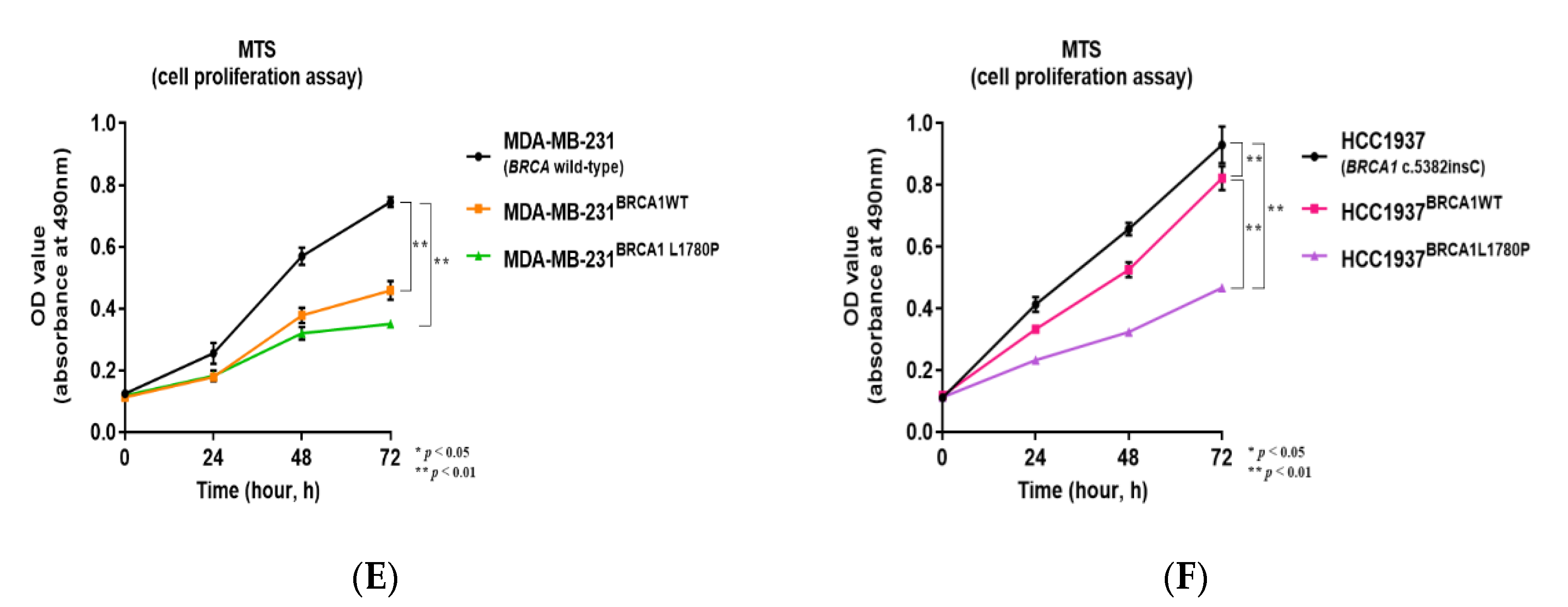 Cancers 14 02405 g002b Cancers 14 02405 g002b