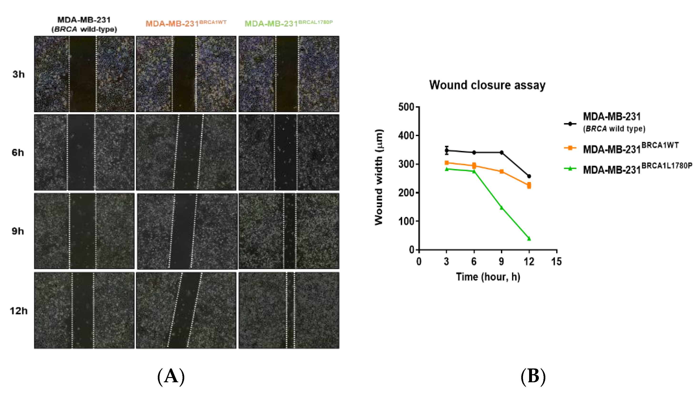 Cancers 14 02405 g003a Cancers 14 02405 g003a