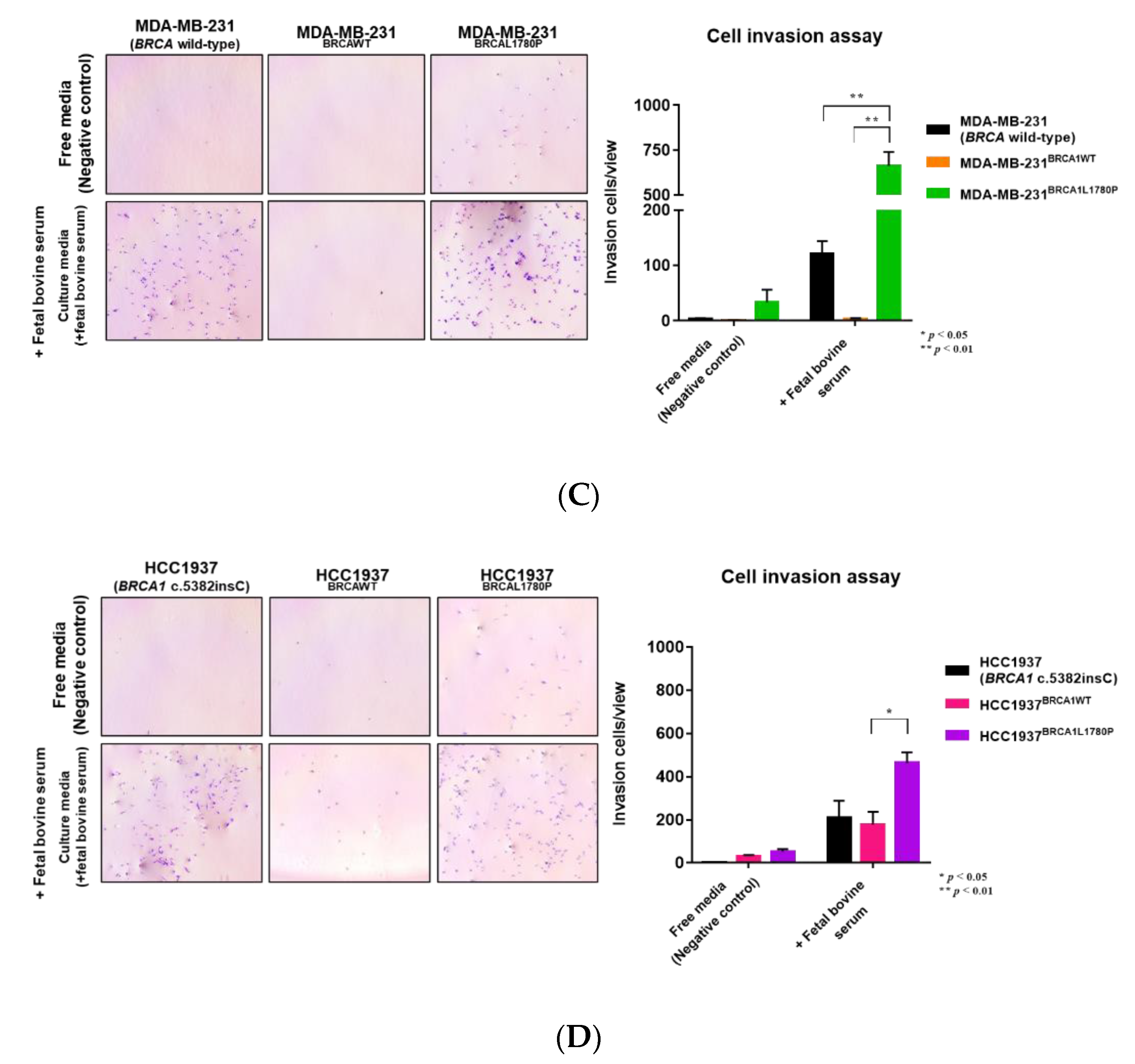 Cancers 14 02405 g003b Cancers 14 02405 g003b