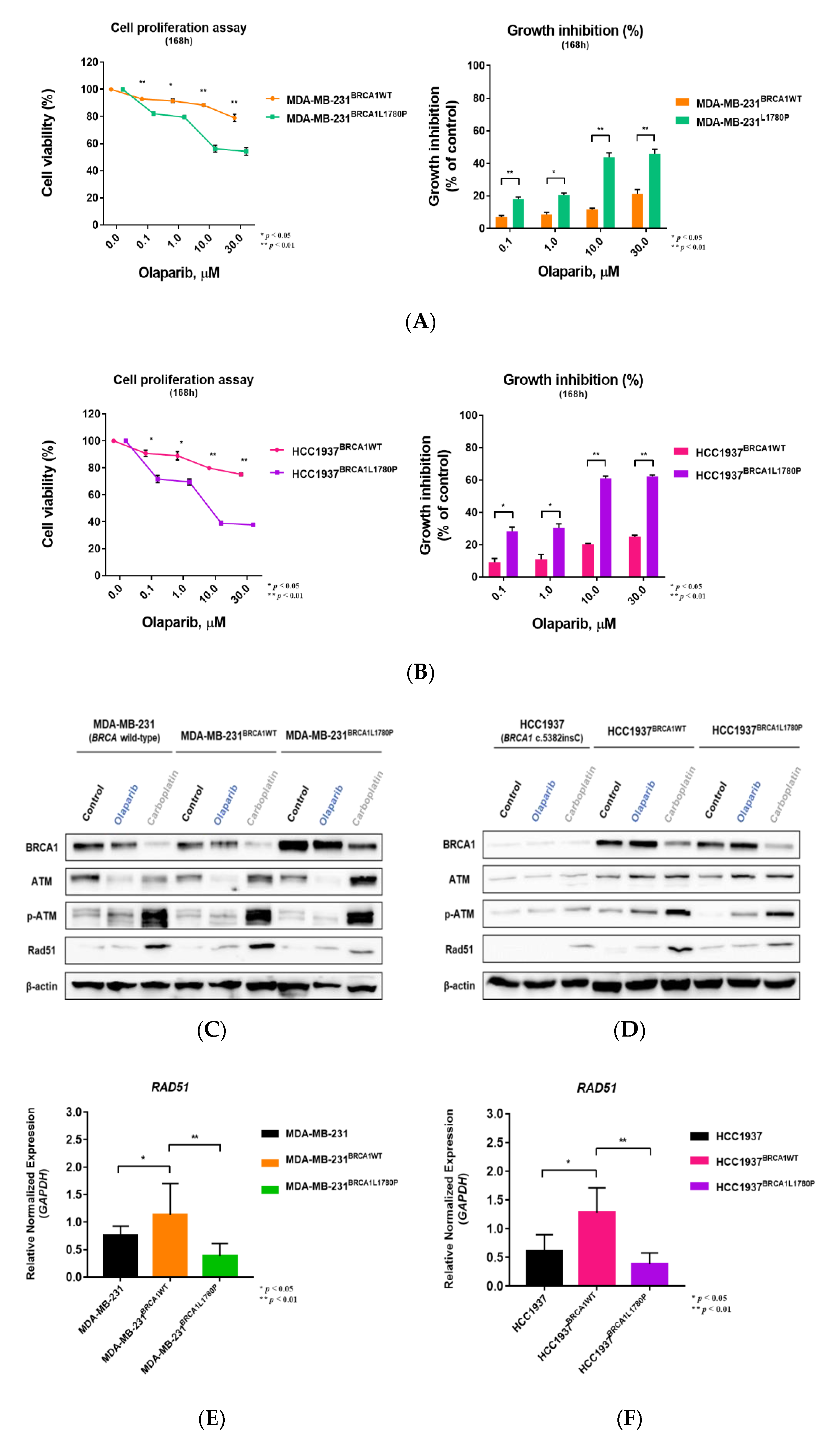 Cancers 14 02405 g004 Cancers 14 02405 g004
