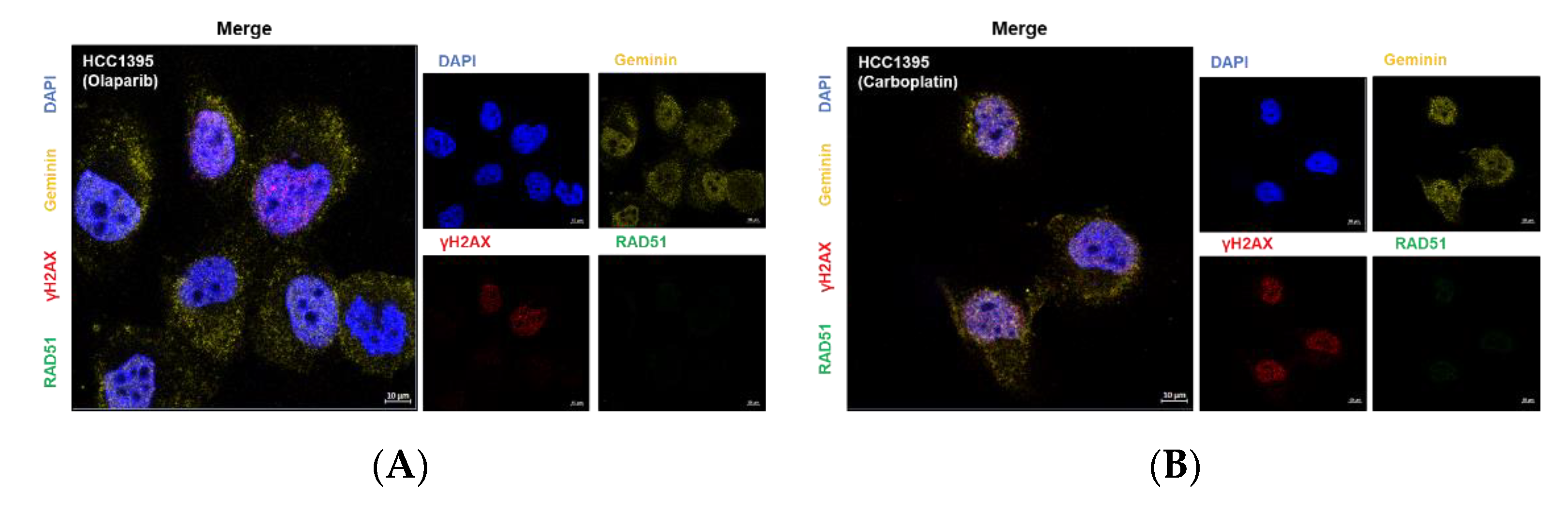 Cancers 14 02405 g005a Cancers 14 02405 g005a