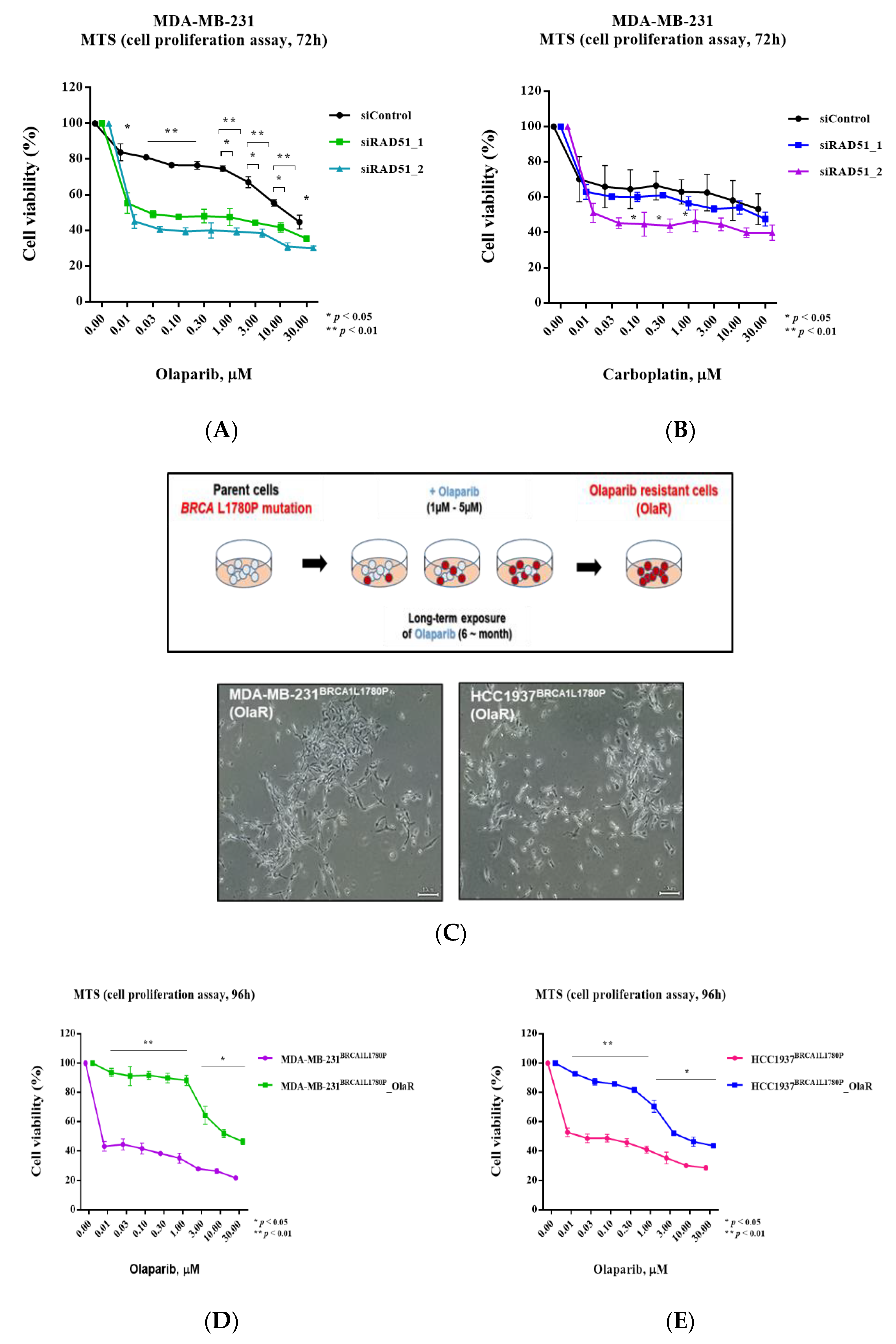 Cancers 14 02405 g006 Cancers 14 02405 g006
