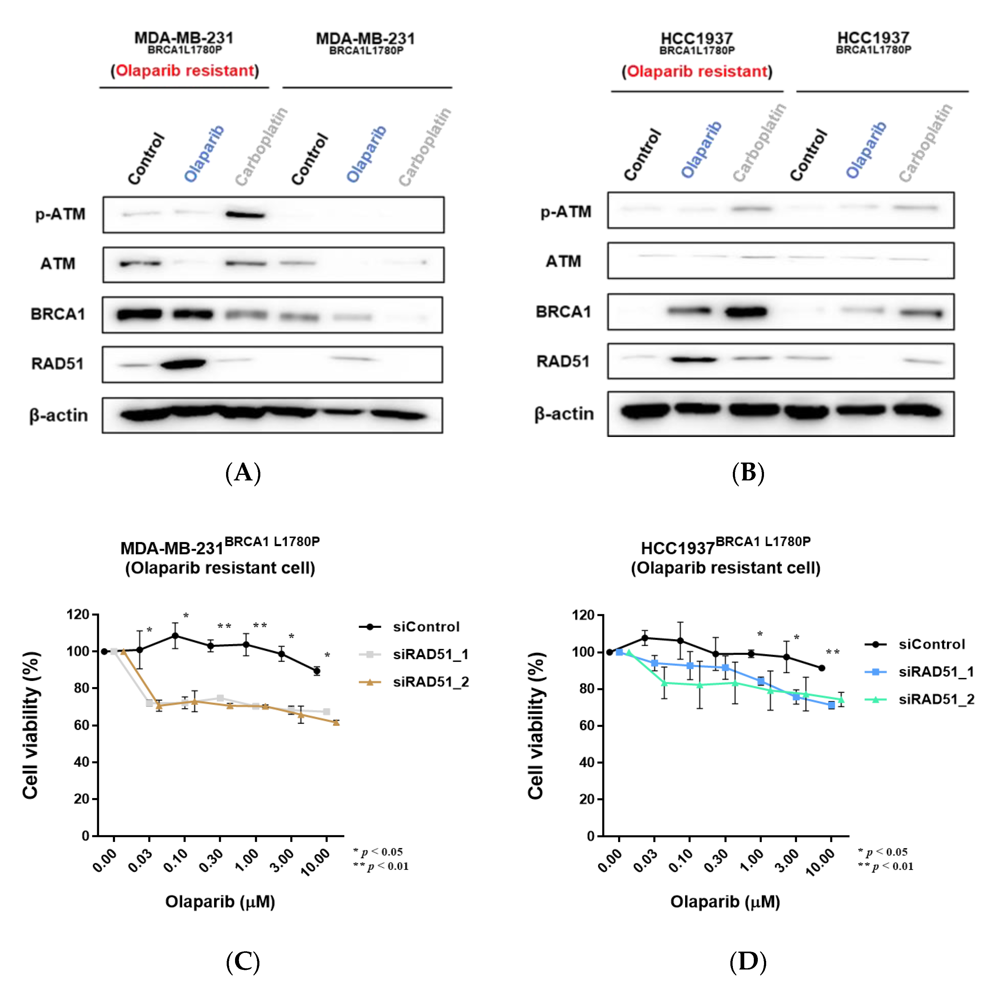 Cancers 14 02405 g007 Cancers 14 02405 g007