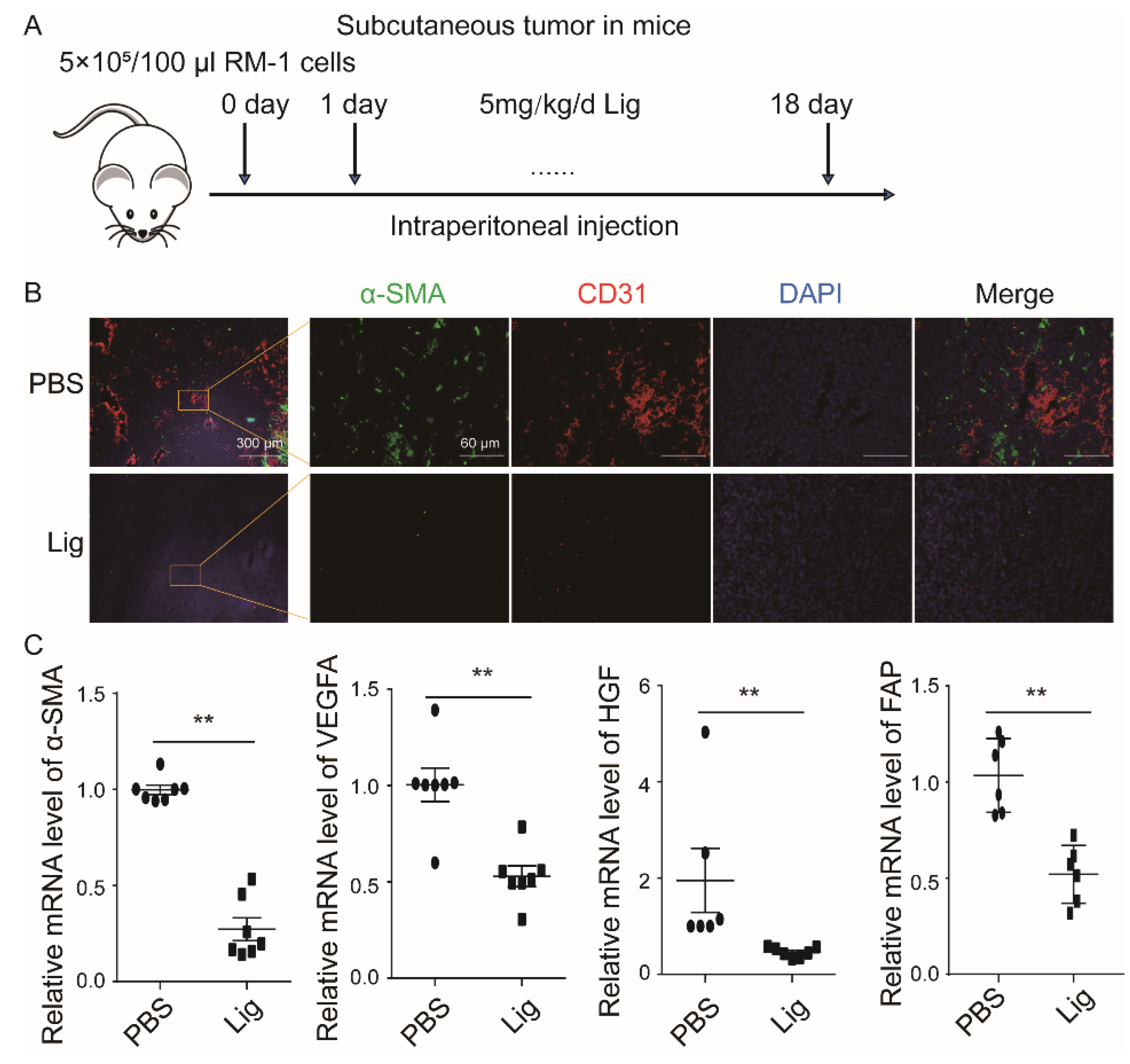 Cancers 14 02406 g001
