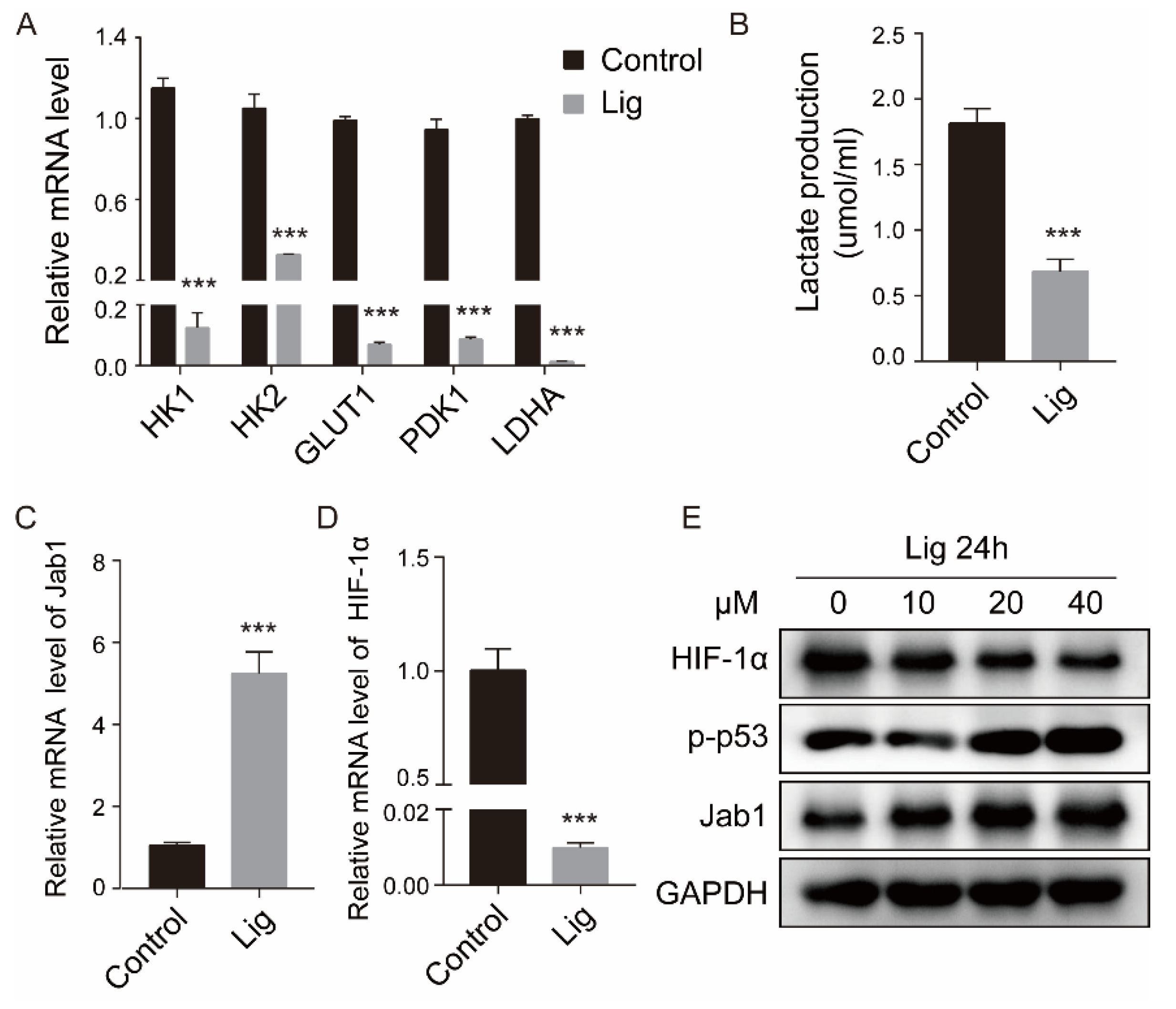 Cancers 14 02406 g005