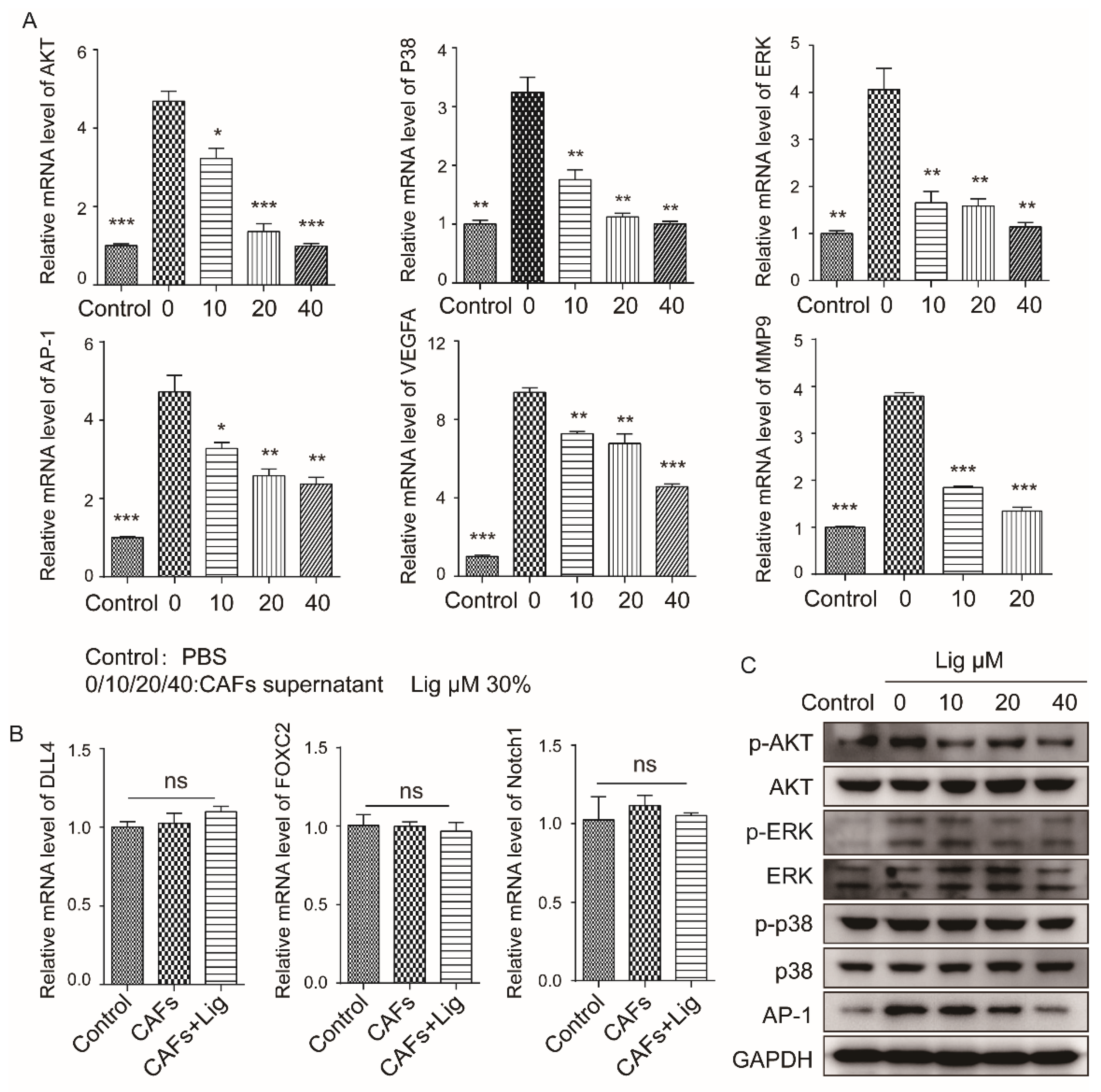Cancers 14 02406 g006