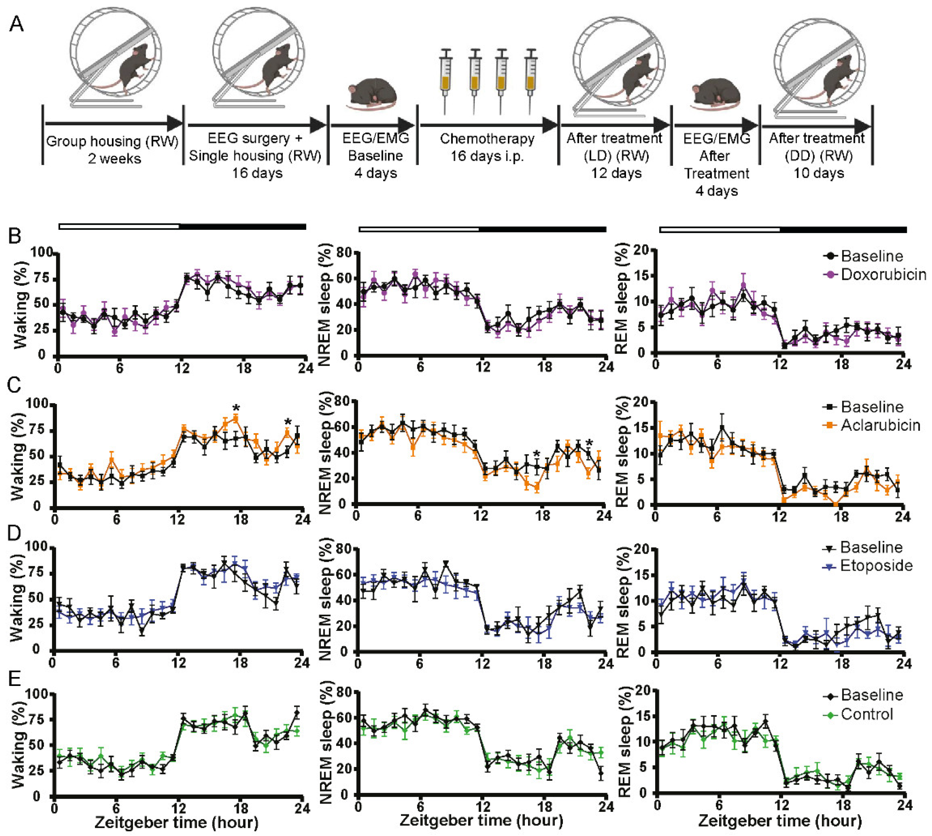 Cancers 14 02421 g003 Cancers 14 02421 g003