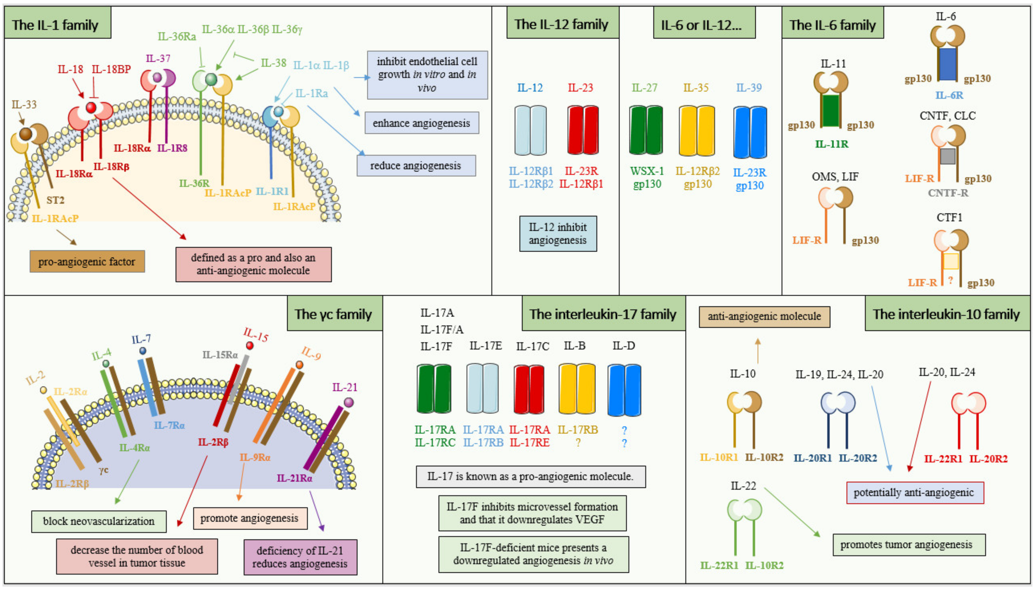 Cancers 14 02446 g003 Cancers 14 02446 g003