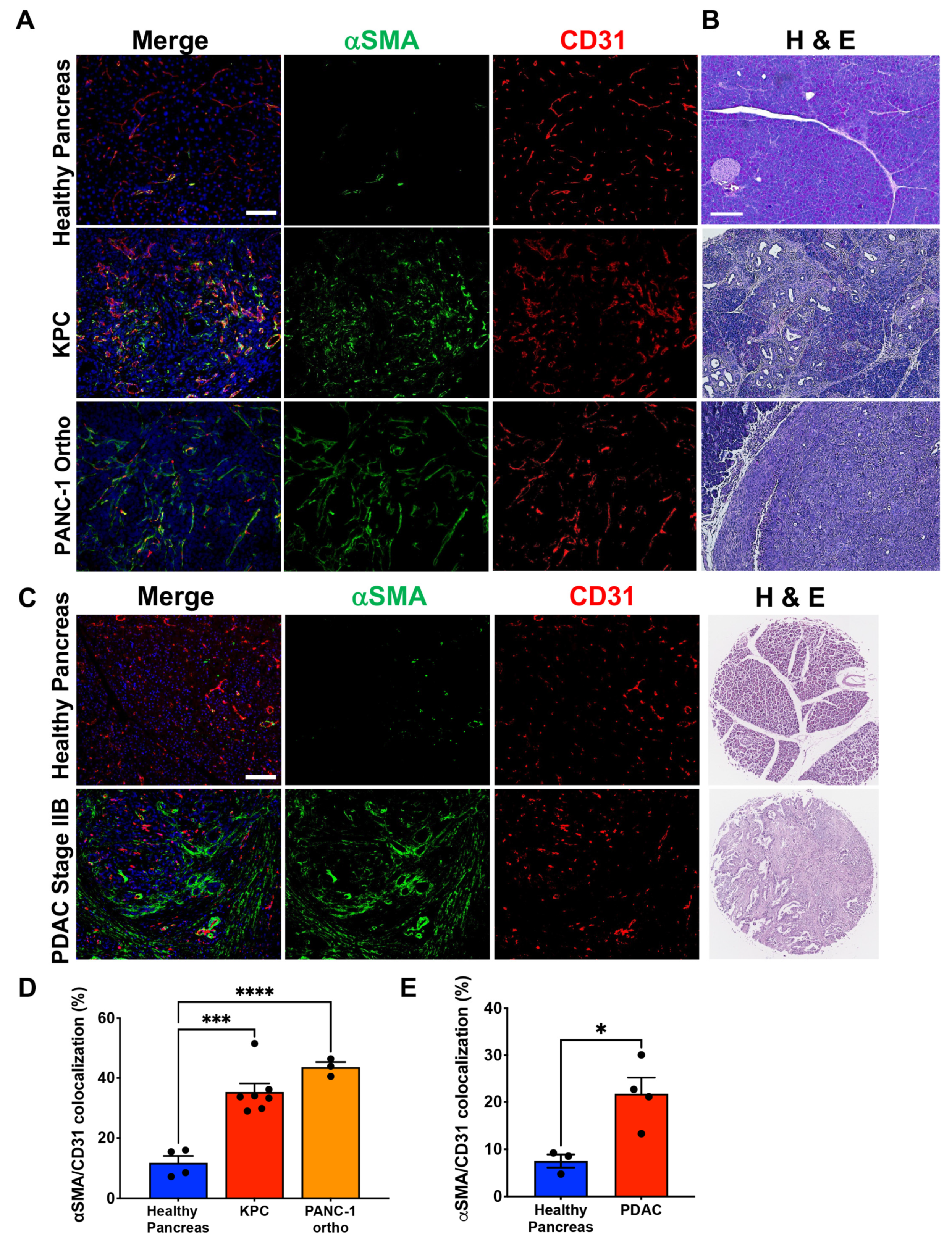Cancers 14 02448 g001