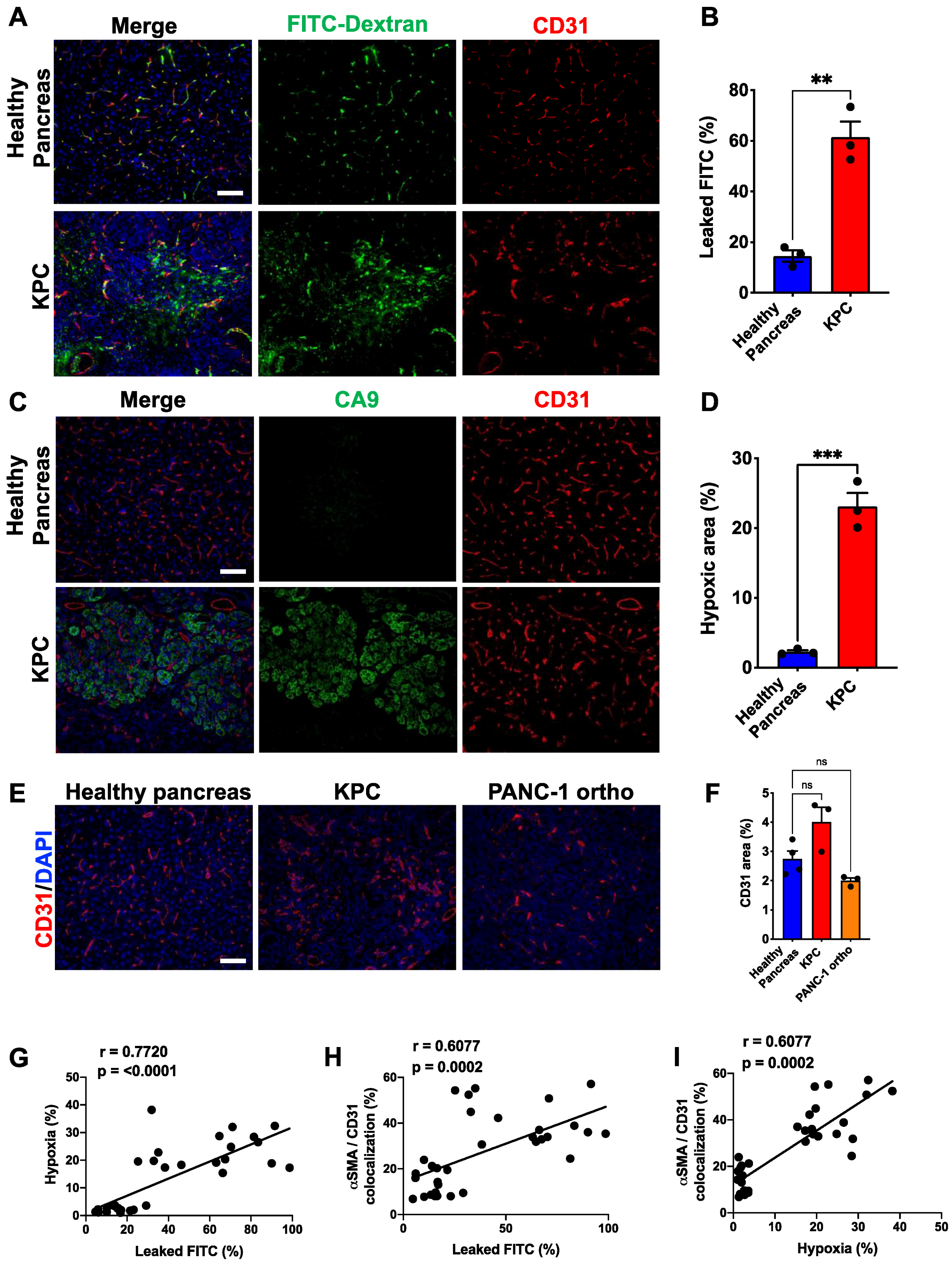 Cancers 14 02448 g002