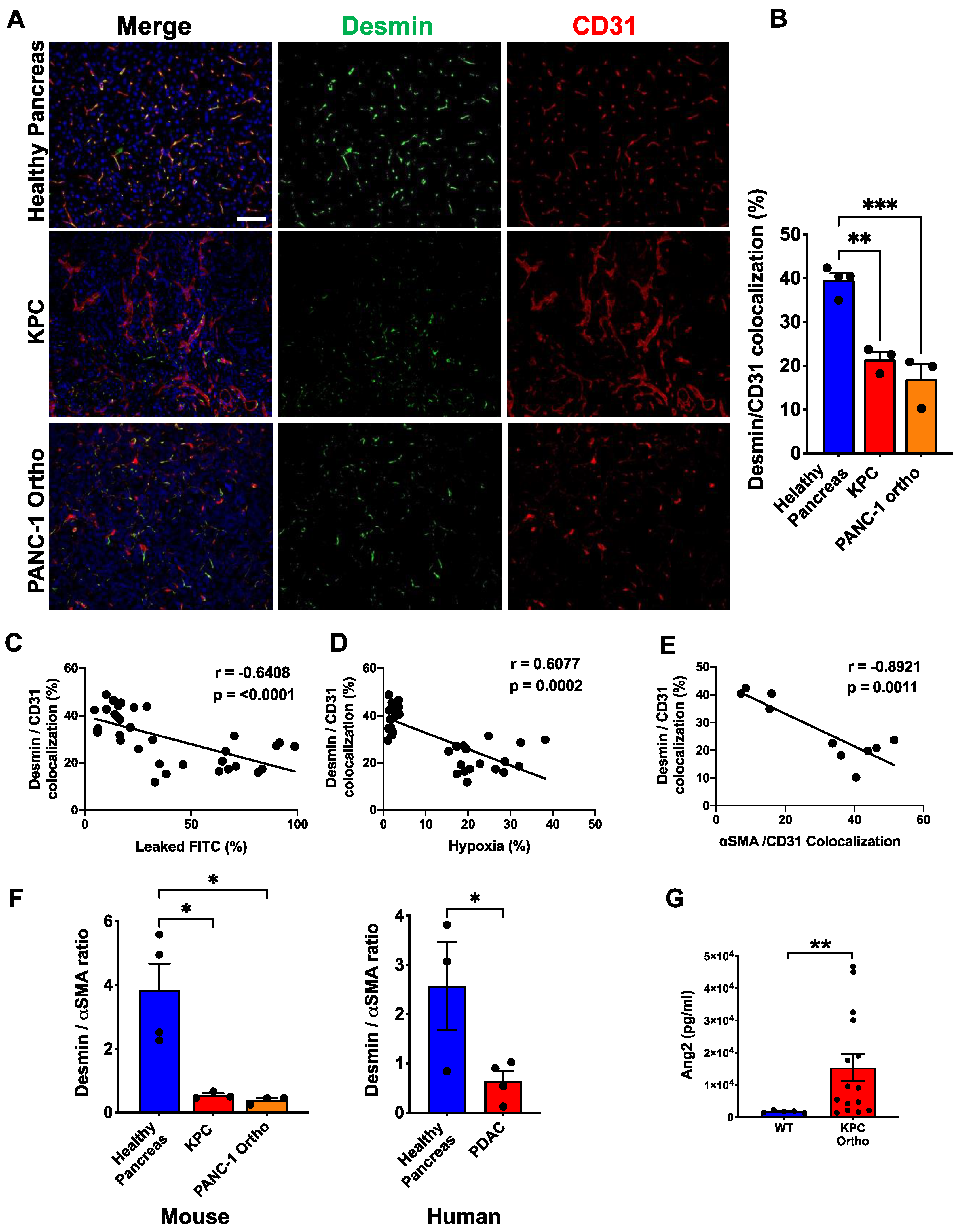 Cancers 14 02448 g003