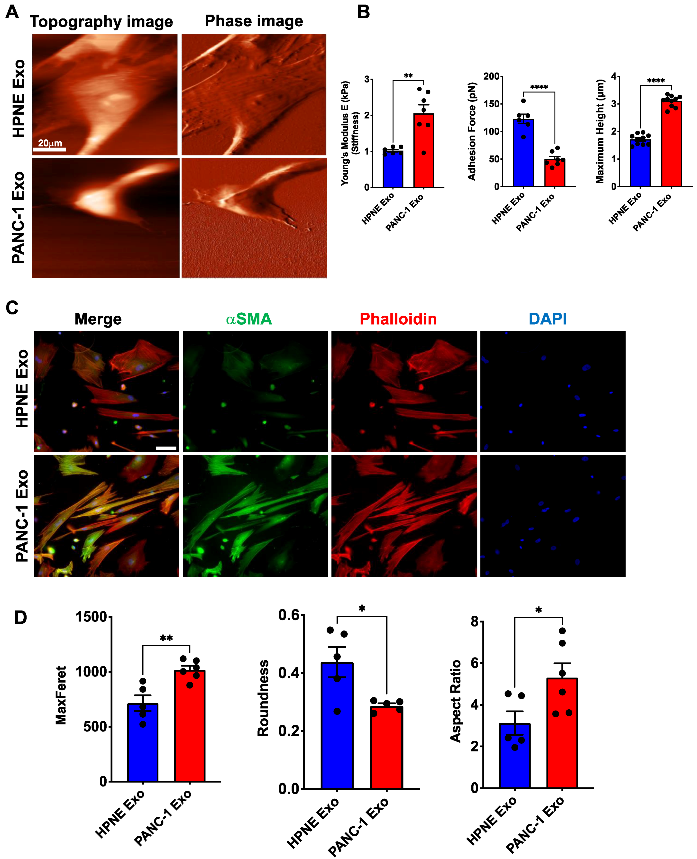 Cancers 14 02448 g005