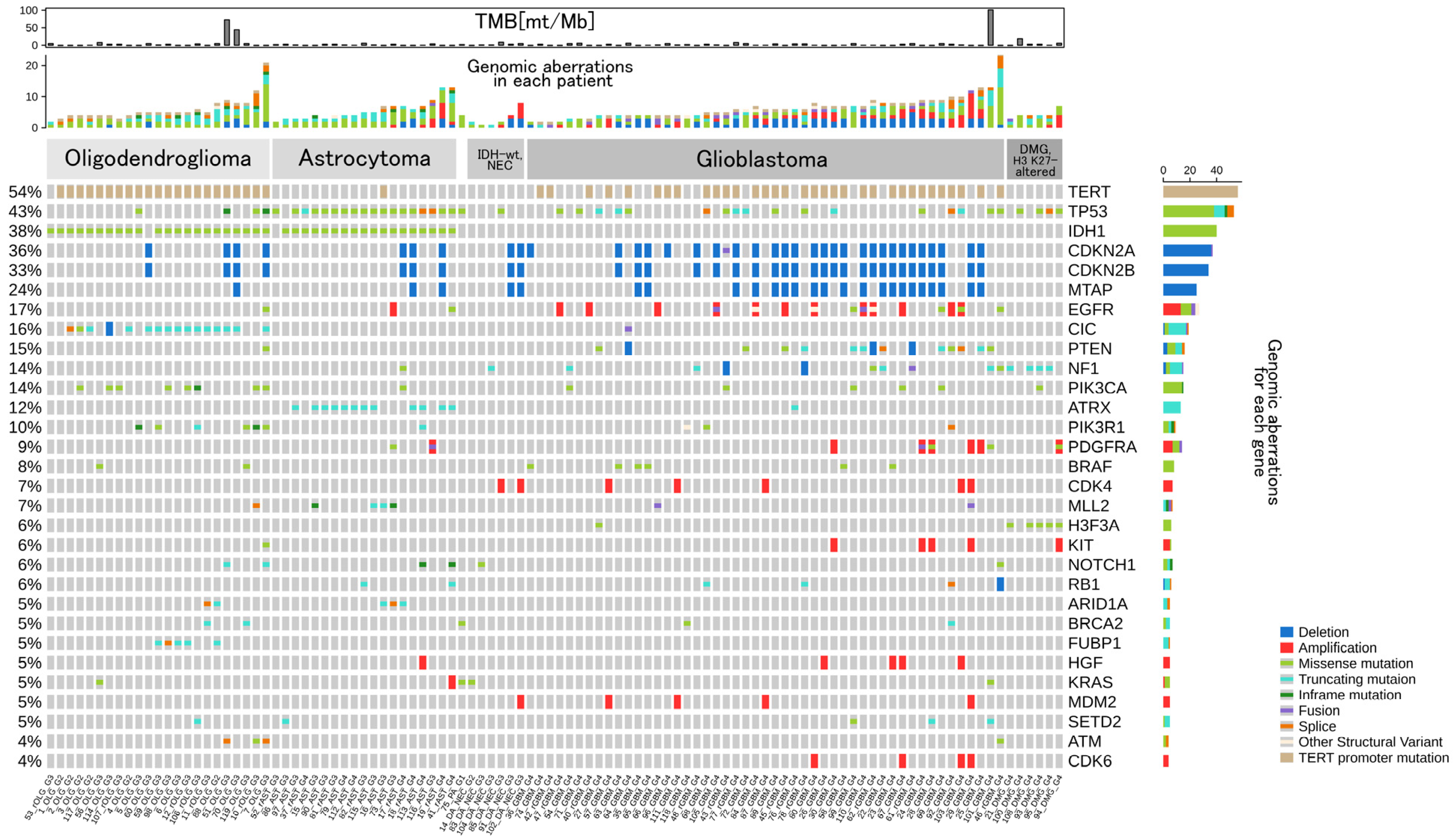 Cancers 14 02454 g001