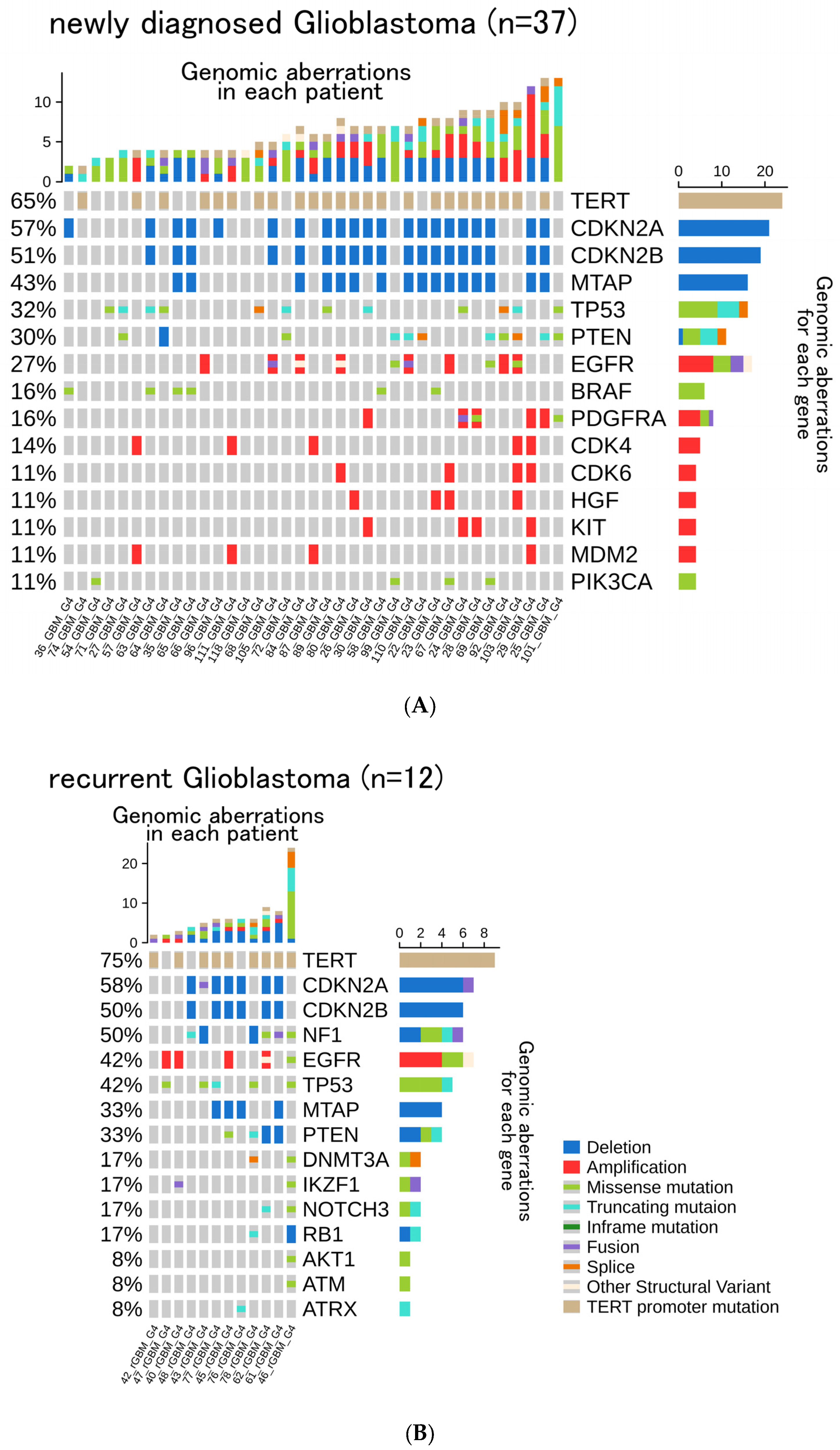 Cancers 14 02454 g003