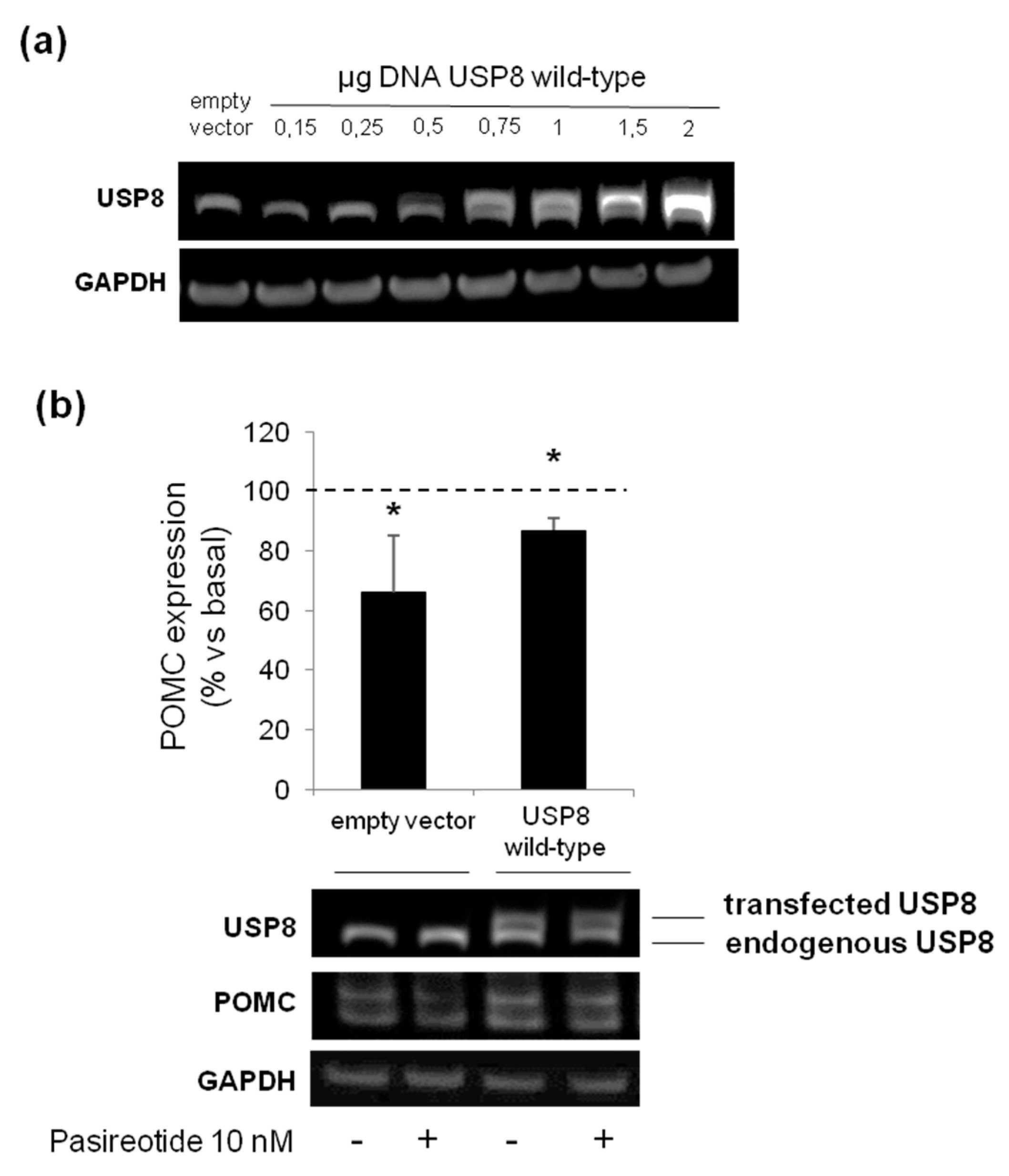 Cancers 14 02455 g006