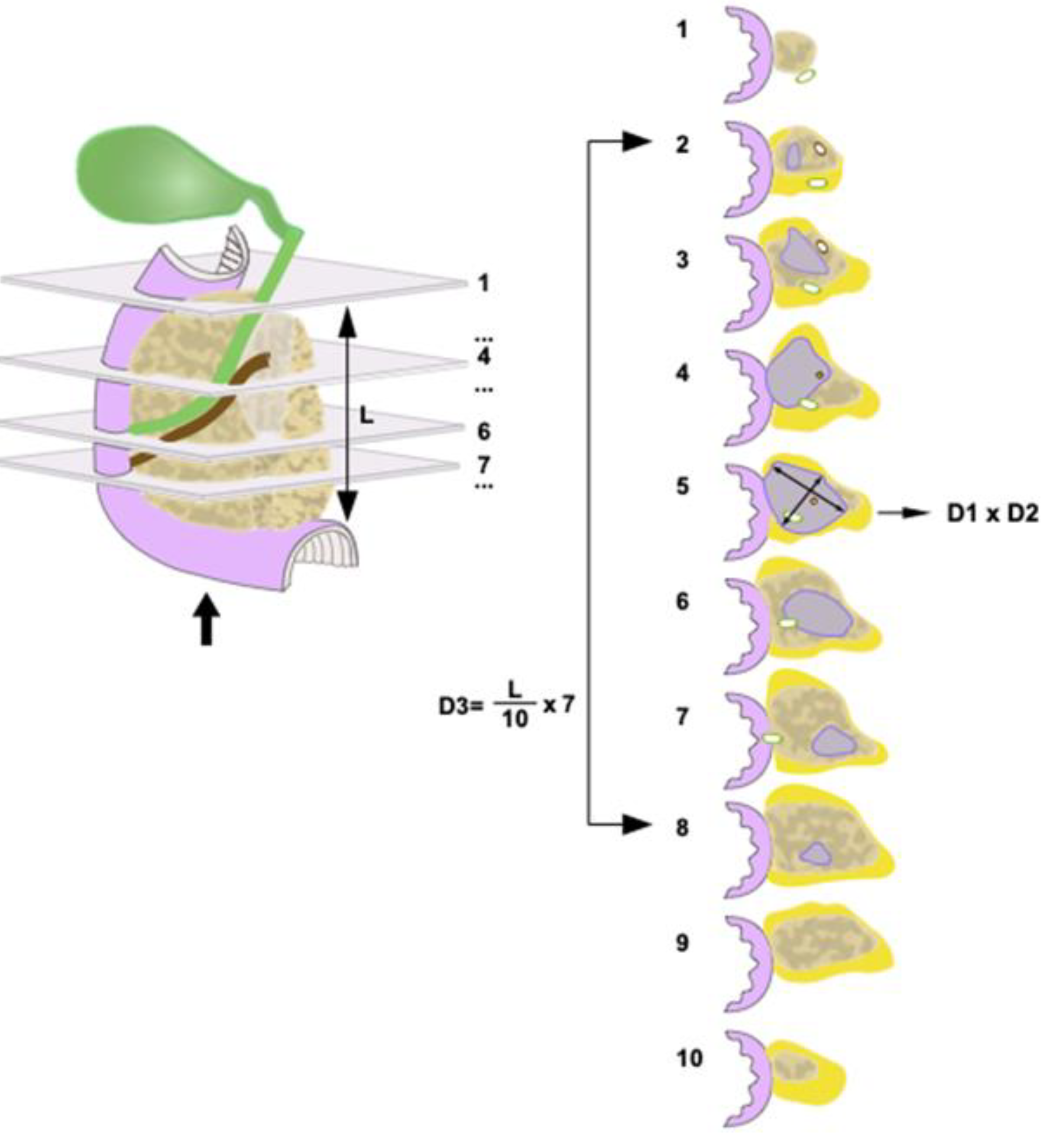 Cancers 14 02471 g001