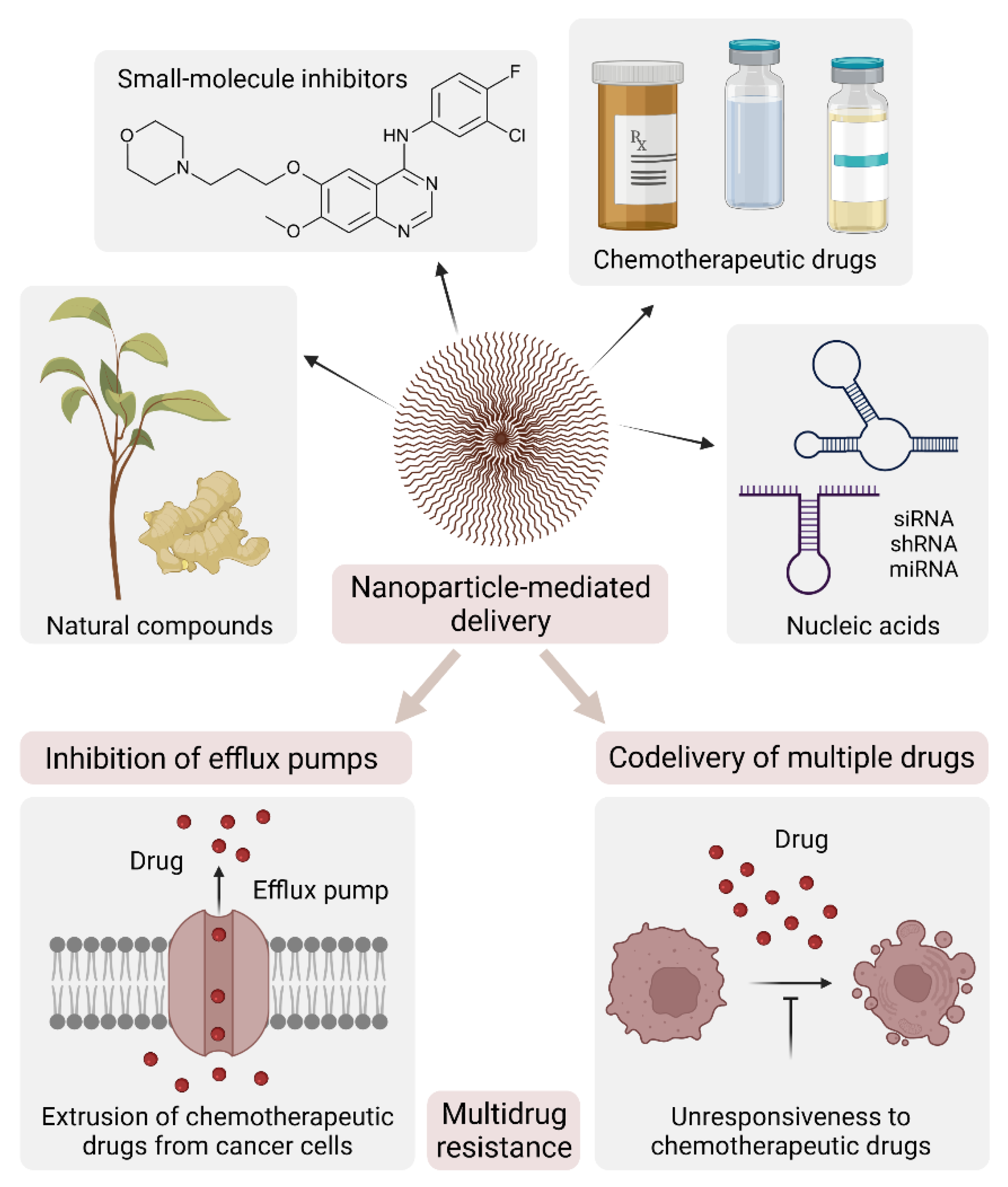 Cancers 14 02473 g003