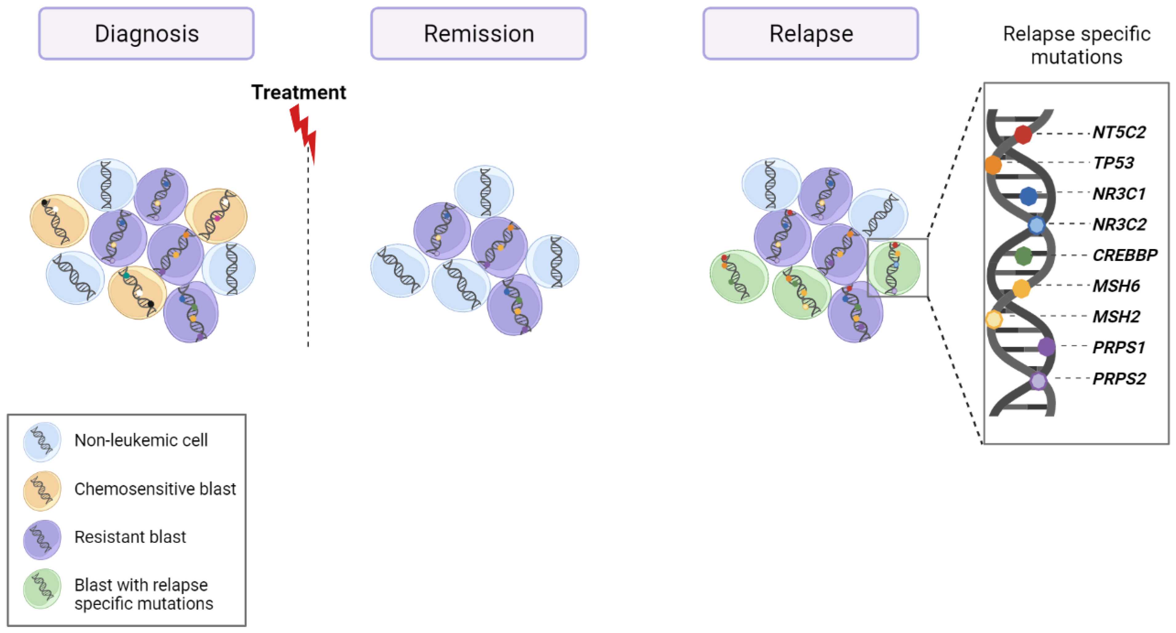 Cancers 14 02474 g003