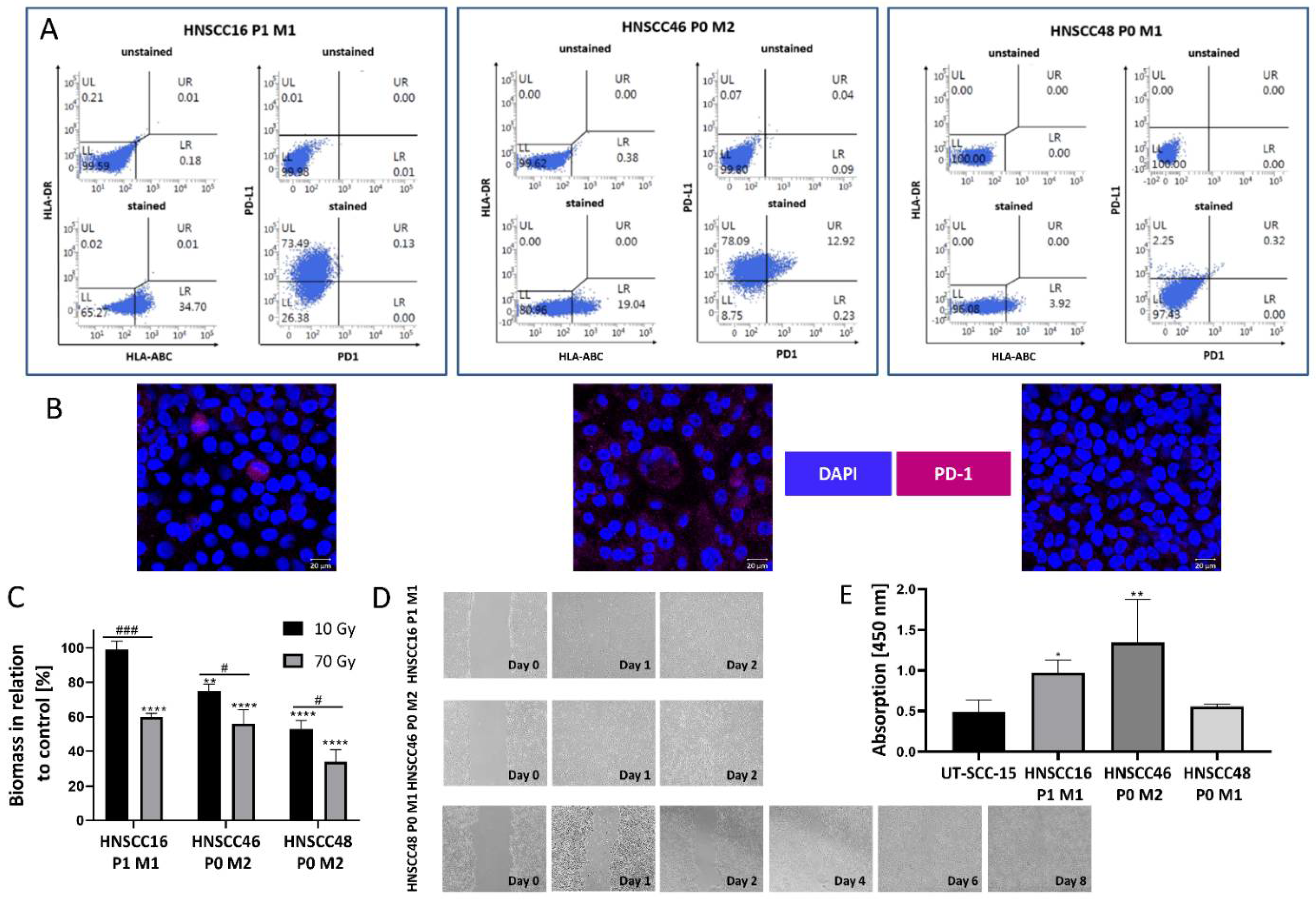 Cancers 14 02484 g003