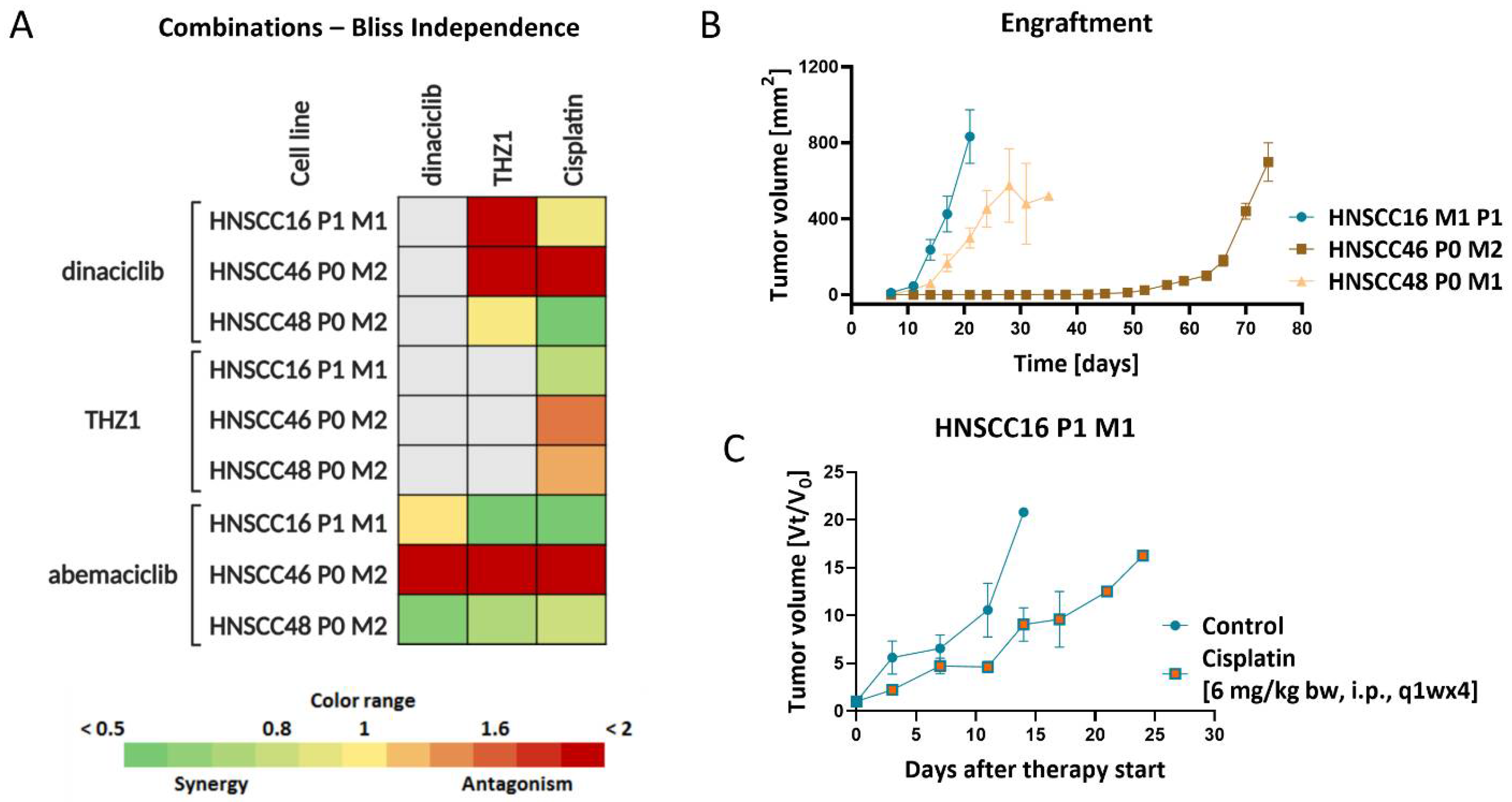 Cancers 14 02484 g004