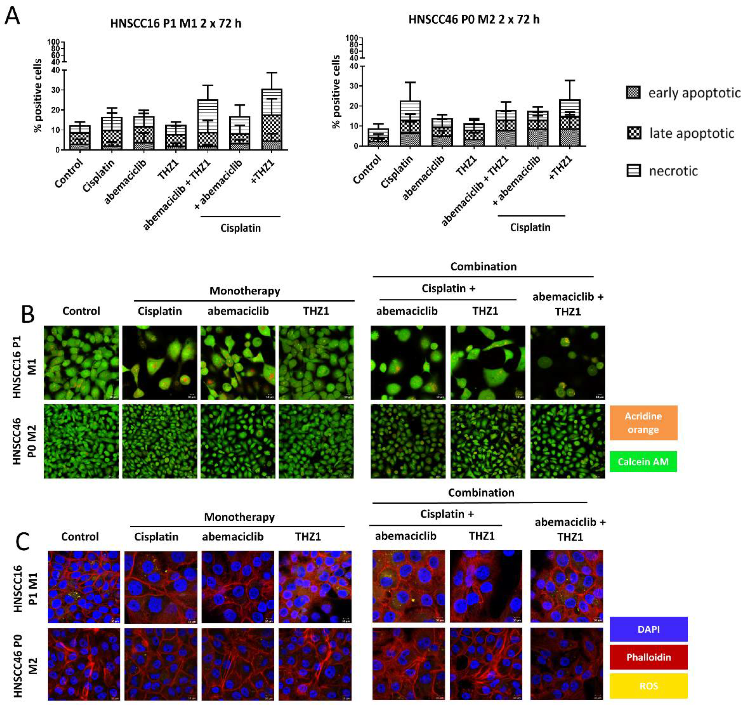 Cancers 14 02484 g005
