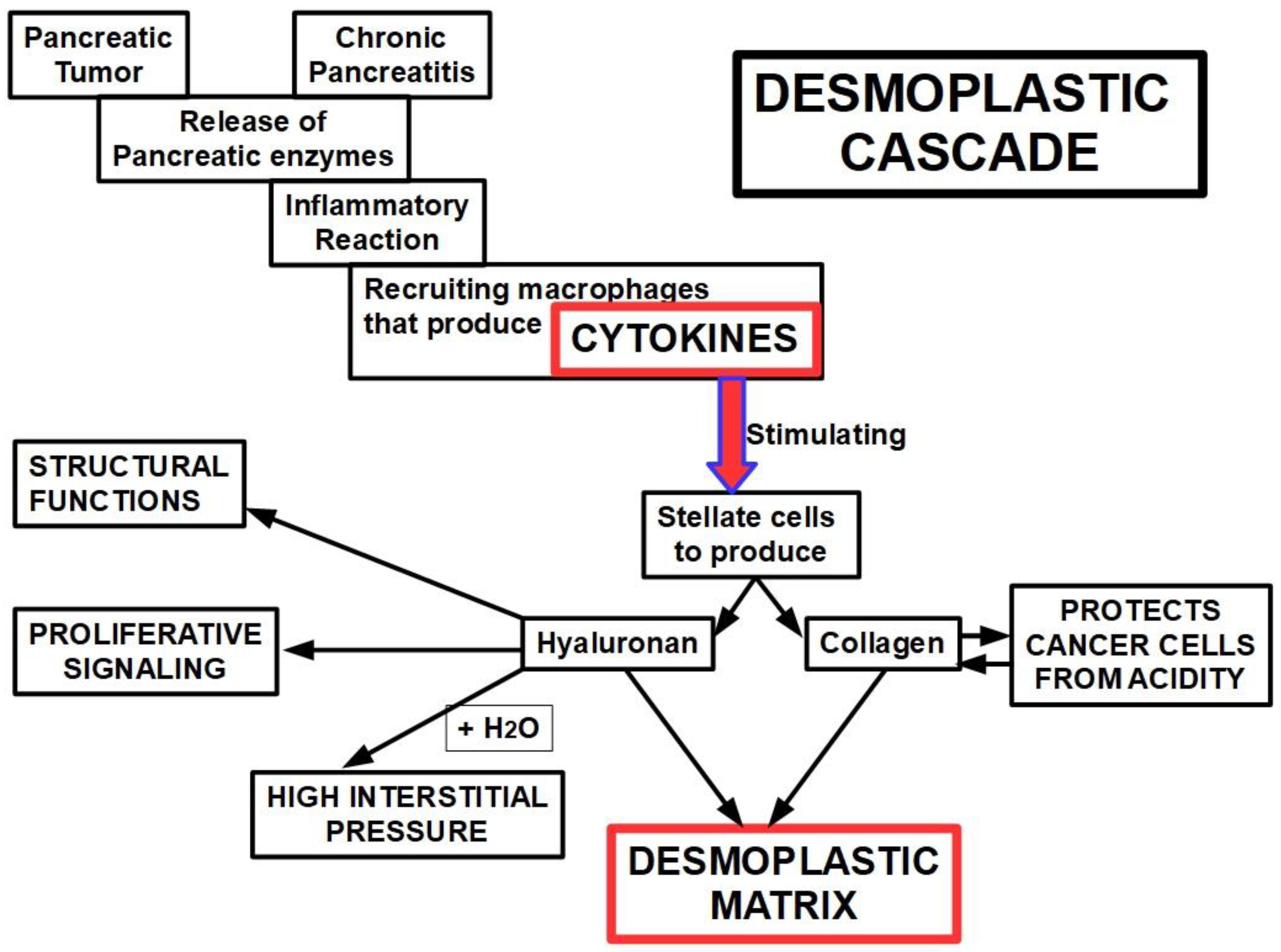Cancers | Free Full-Text | Resistance to Gemcitabine in Pancreatic Ductal Adenocarcinoma: A Physiopathologic and Pharmacologic Review Cancers | Free Full-Text | Resistance to Gemcitabine in Pancreatic Ductal Adenocarcinoma: A Physiopathologic and Pharmacologic Review