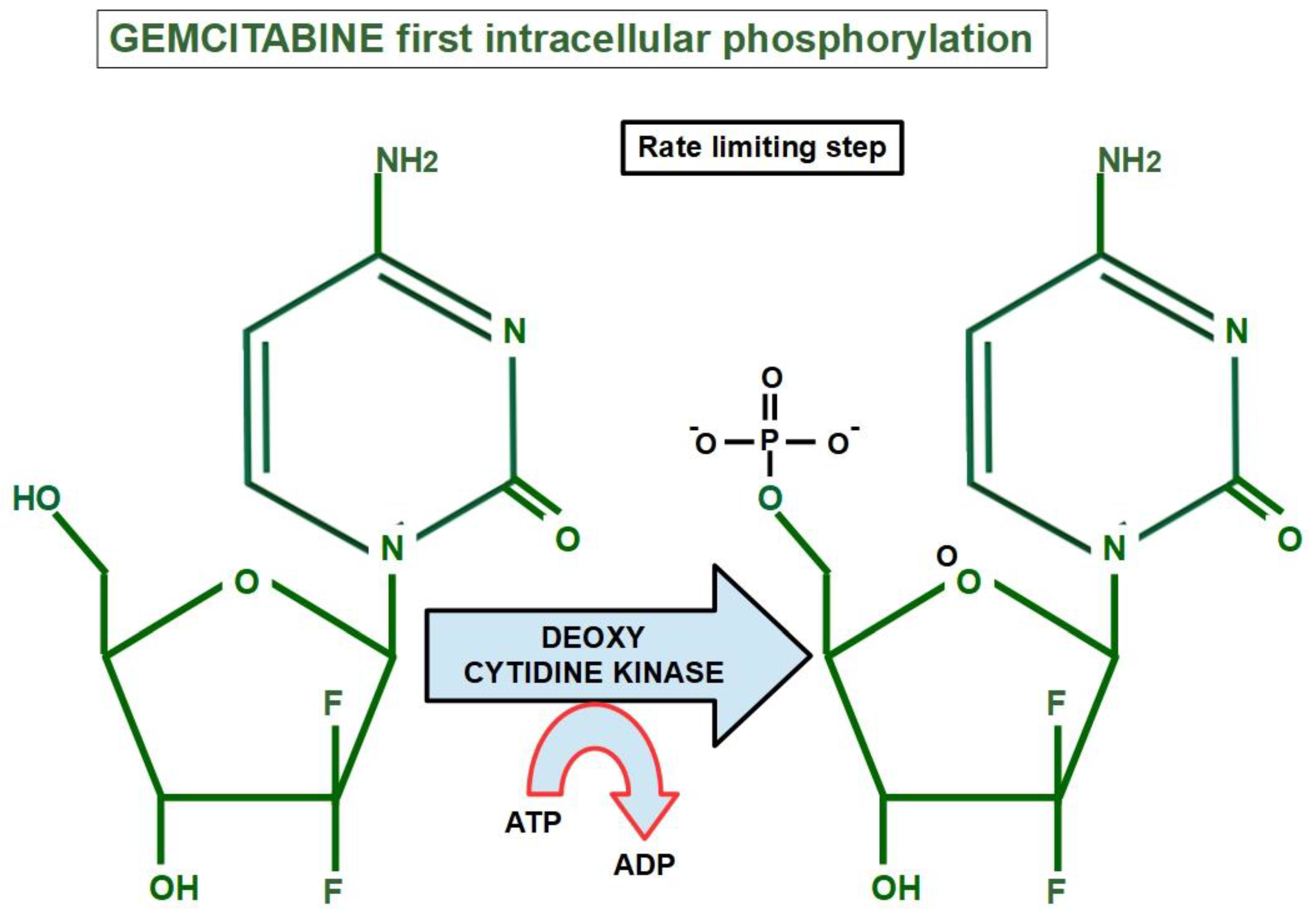 Cancers 14 02486 g004