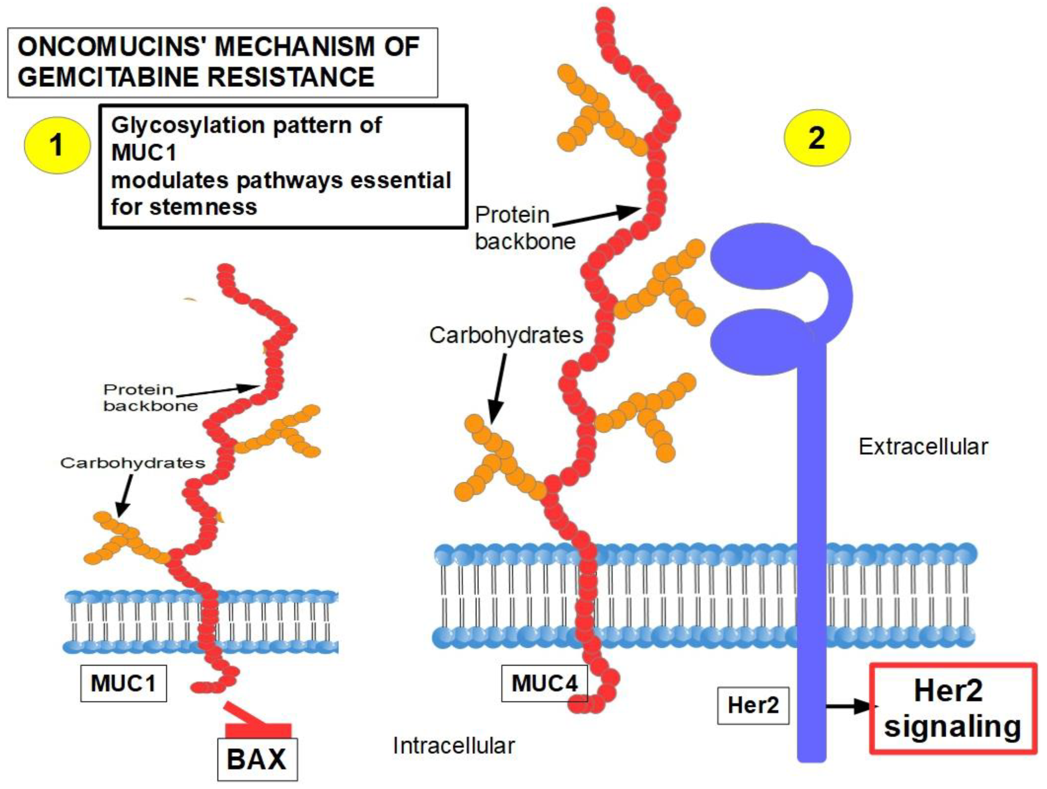 Cancers 14 02486 g009