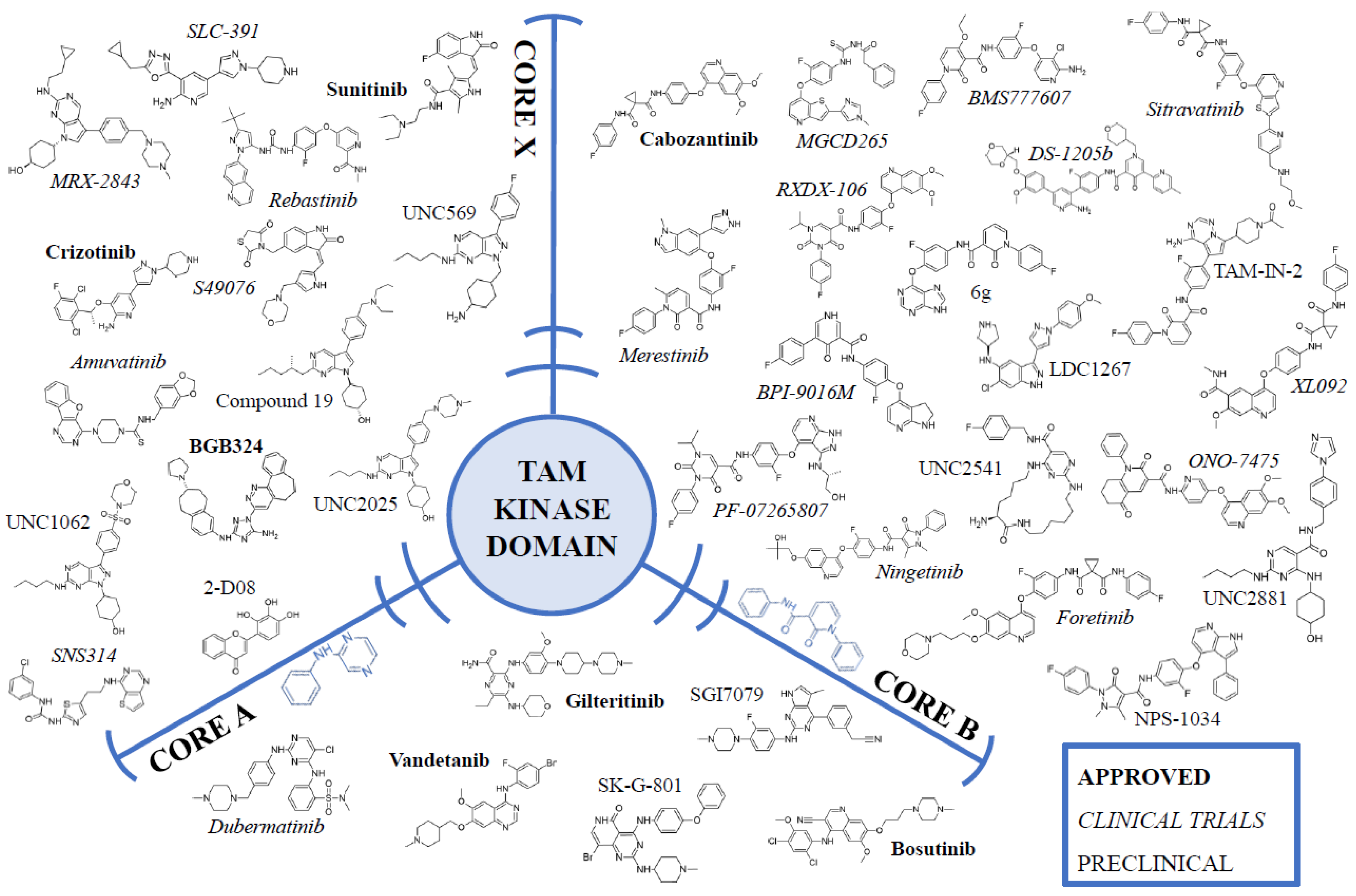 Cancers 14 02488 g002 550