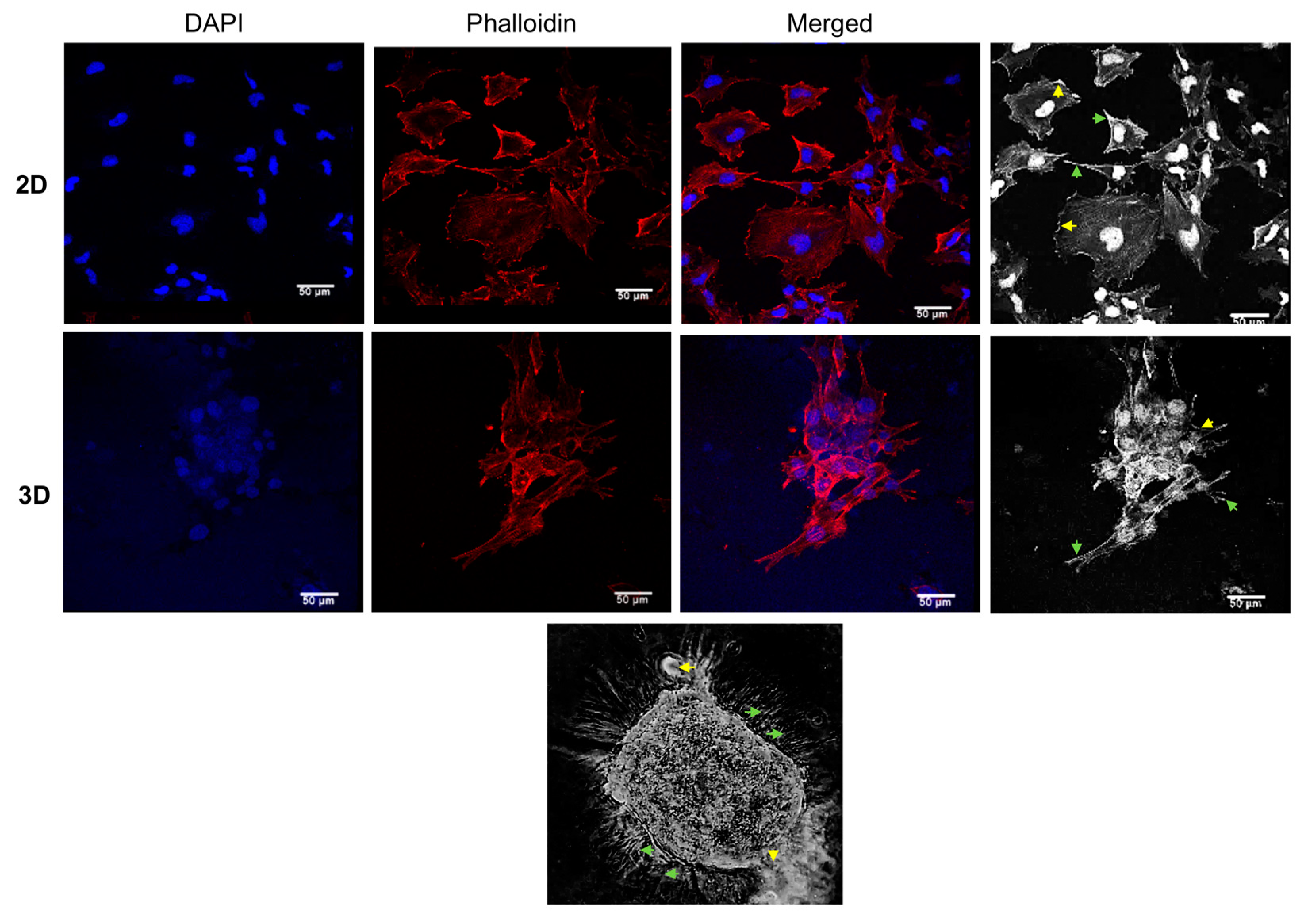 Cancers 14 02490 g002