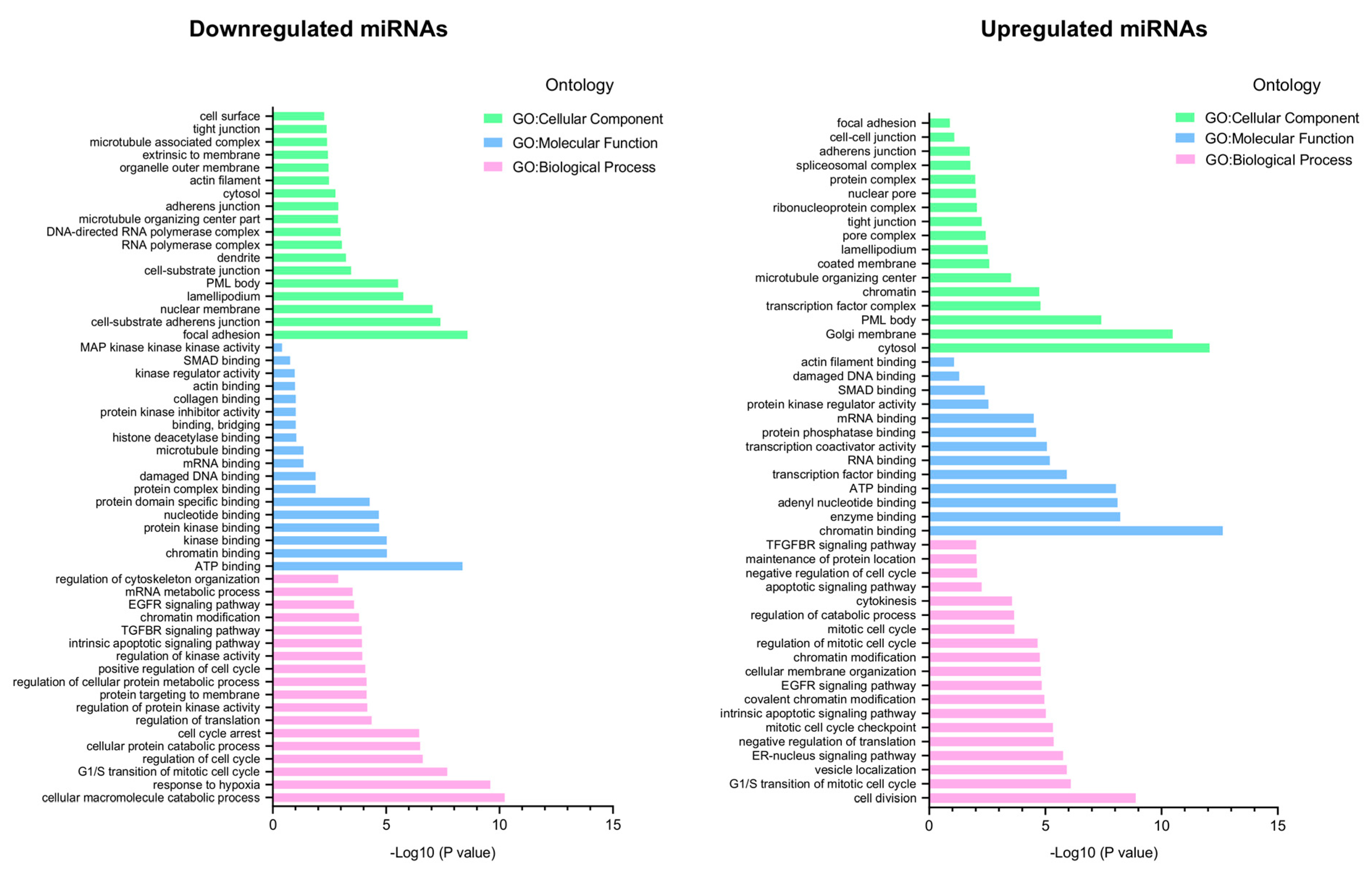 Cancers 14 02490 g004