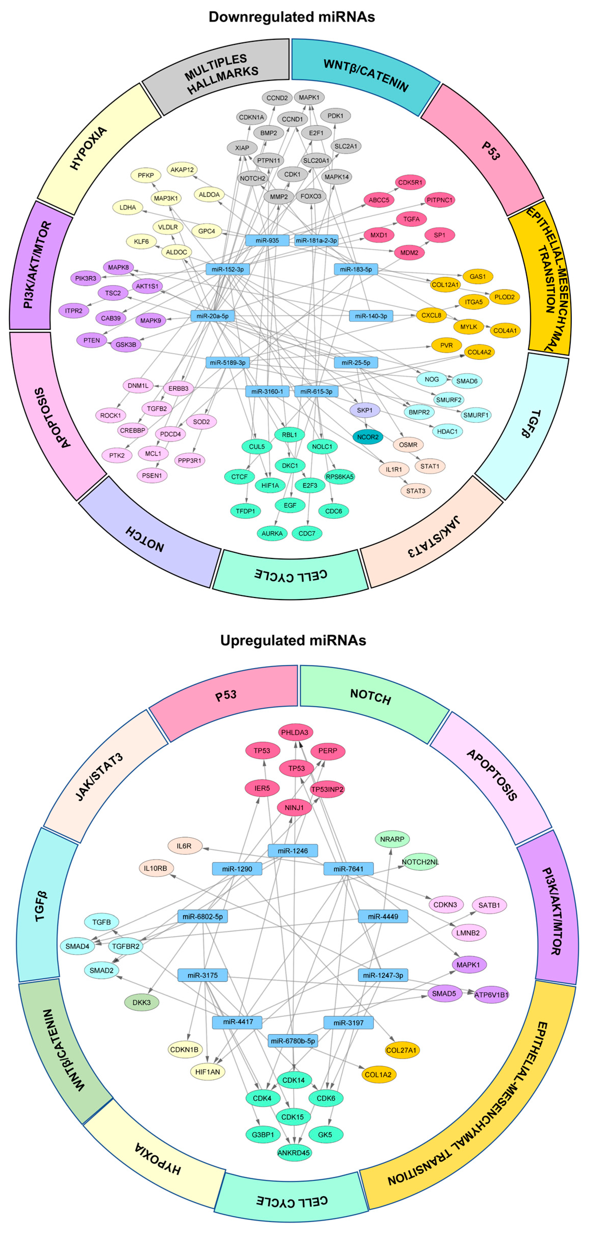 Cancers 14 02490 g006