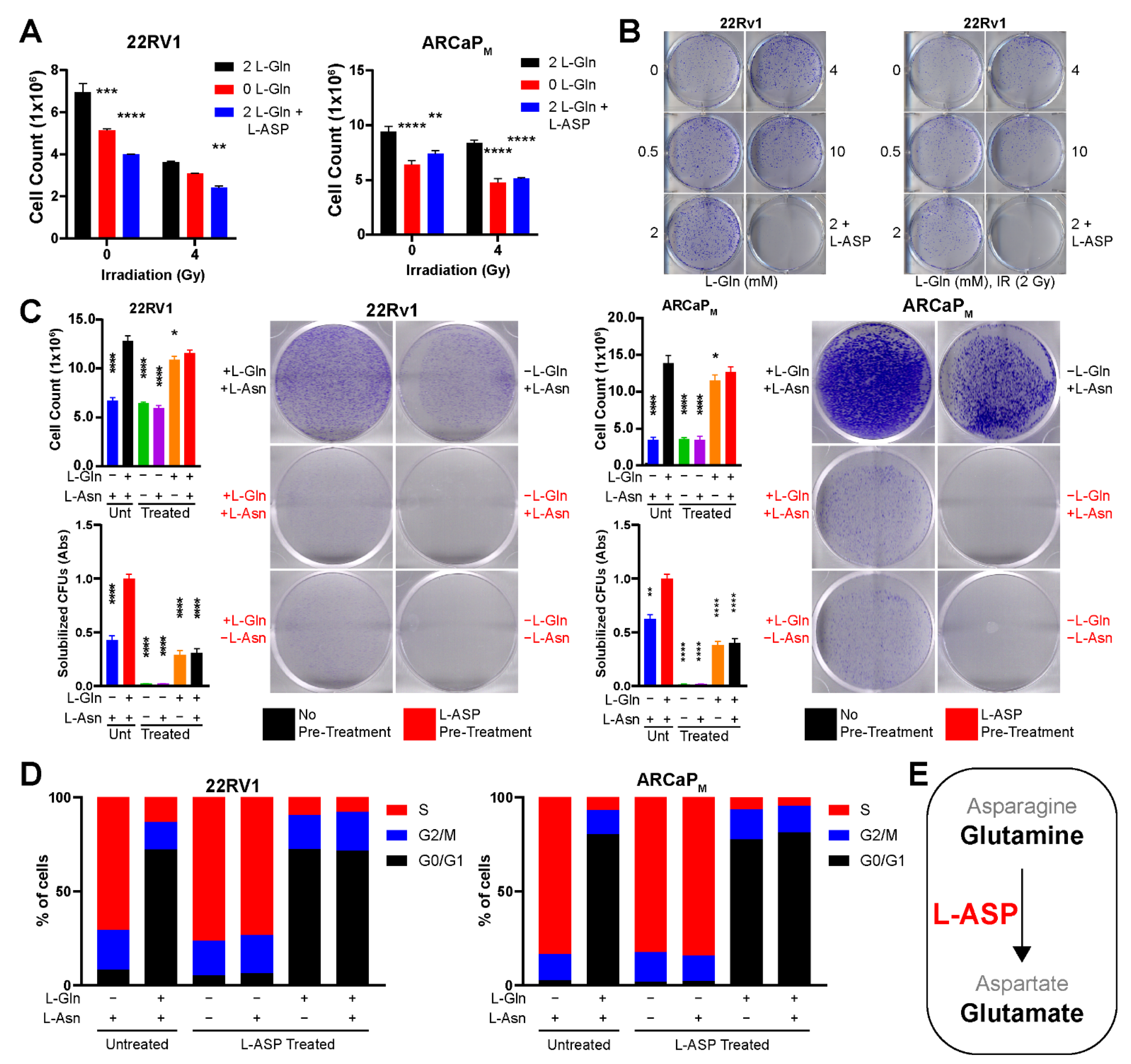 Cancers 14 02491 g002