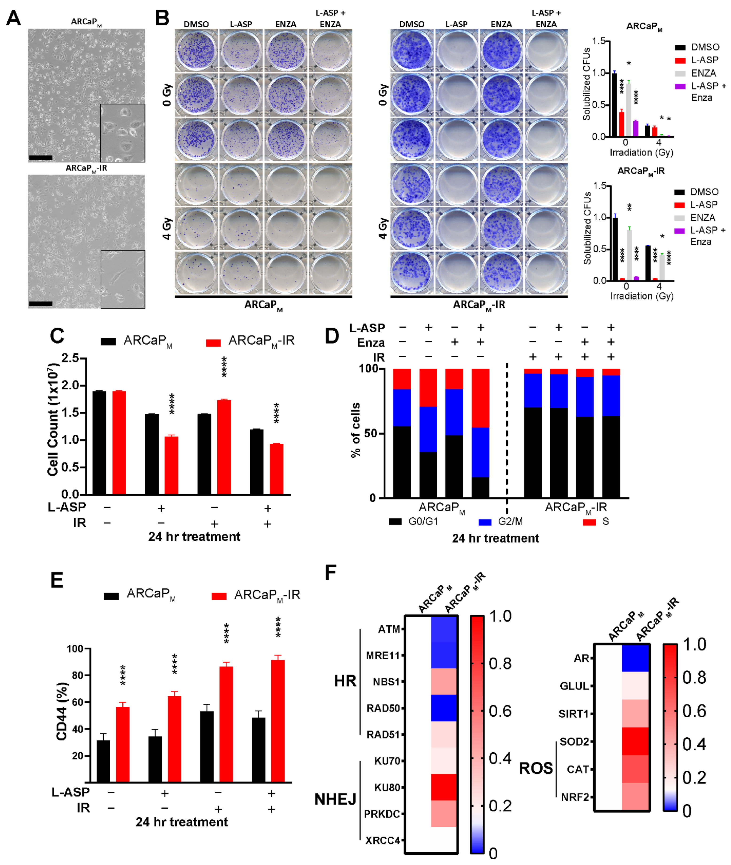 Cancers 14 02491 g005