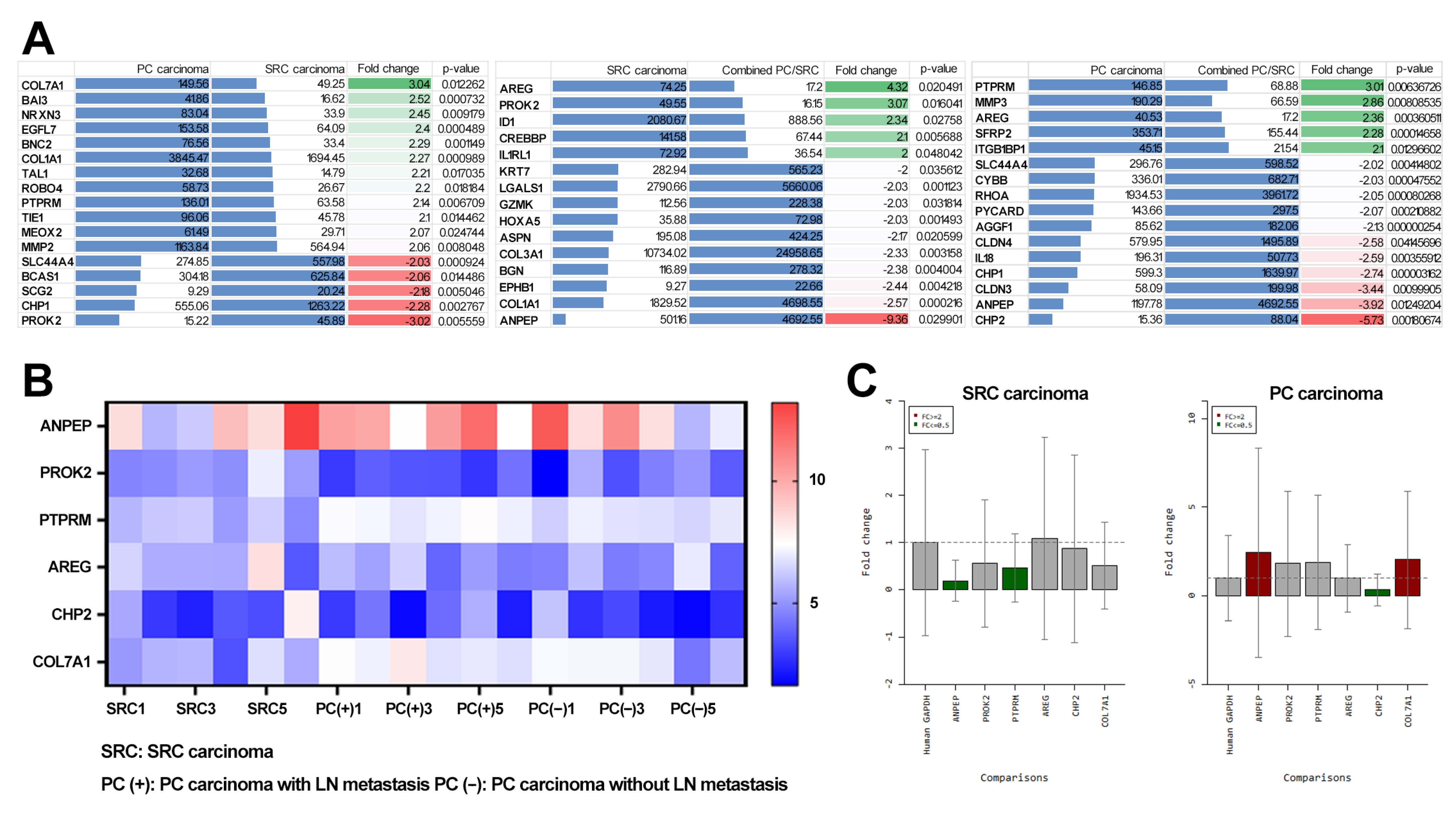 Cancers 14 02502 g003