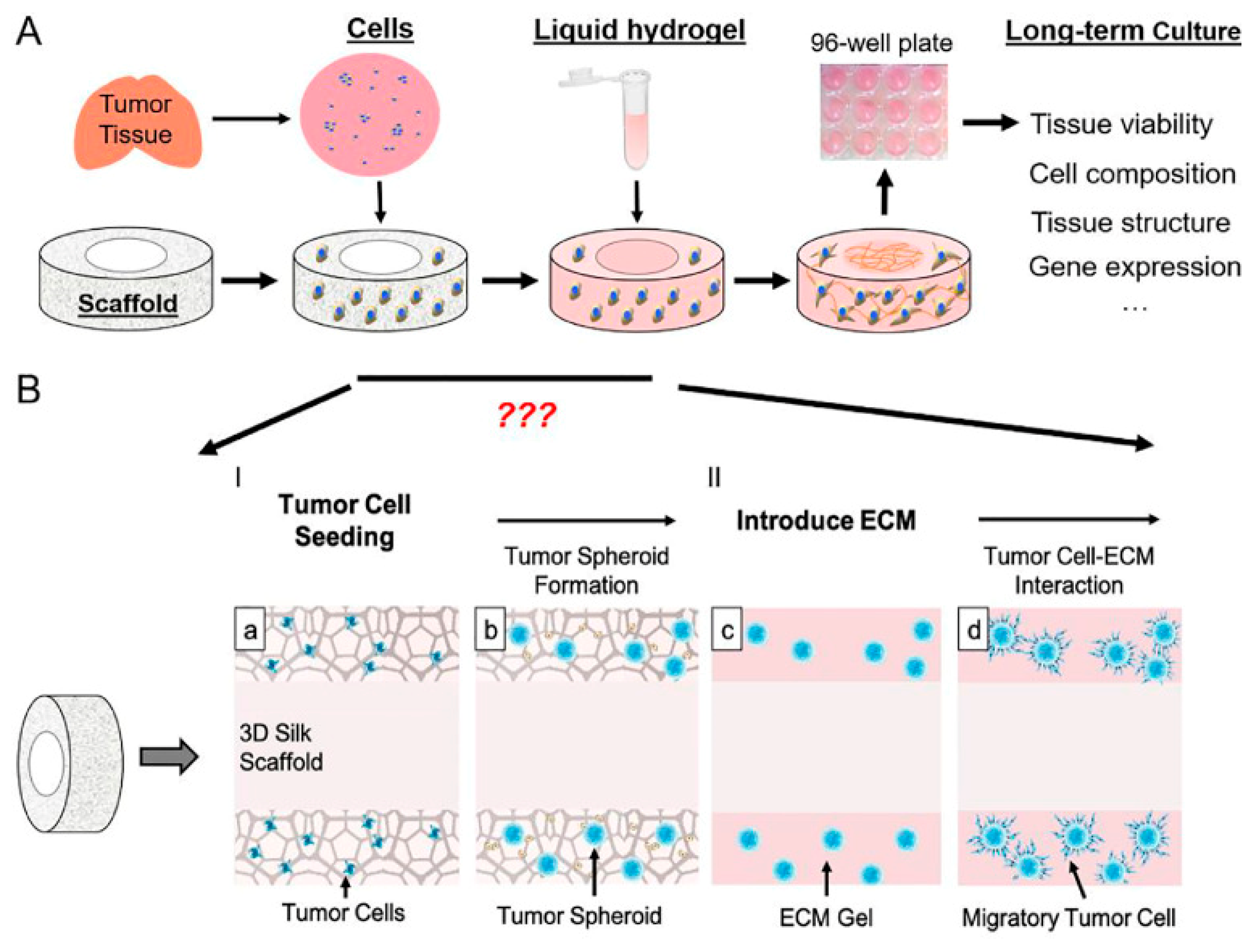 Cancers 14 02503 g003 550