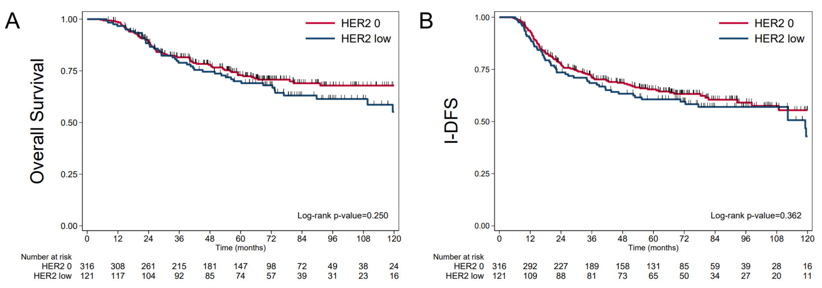 Cancers 14 02509 g002