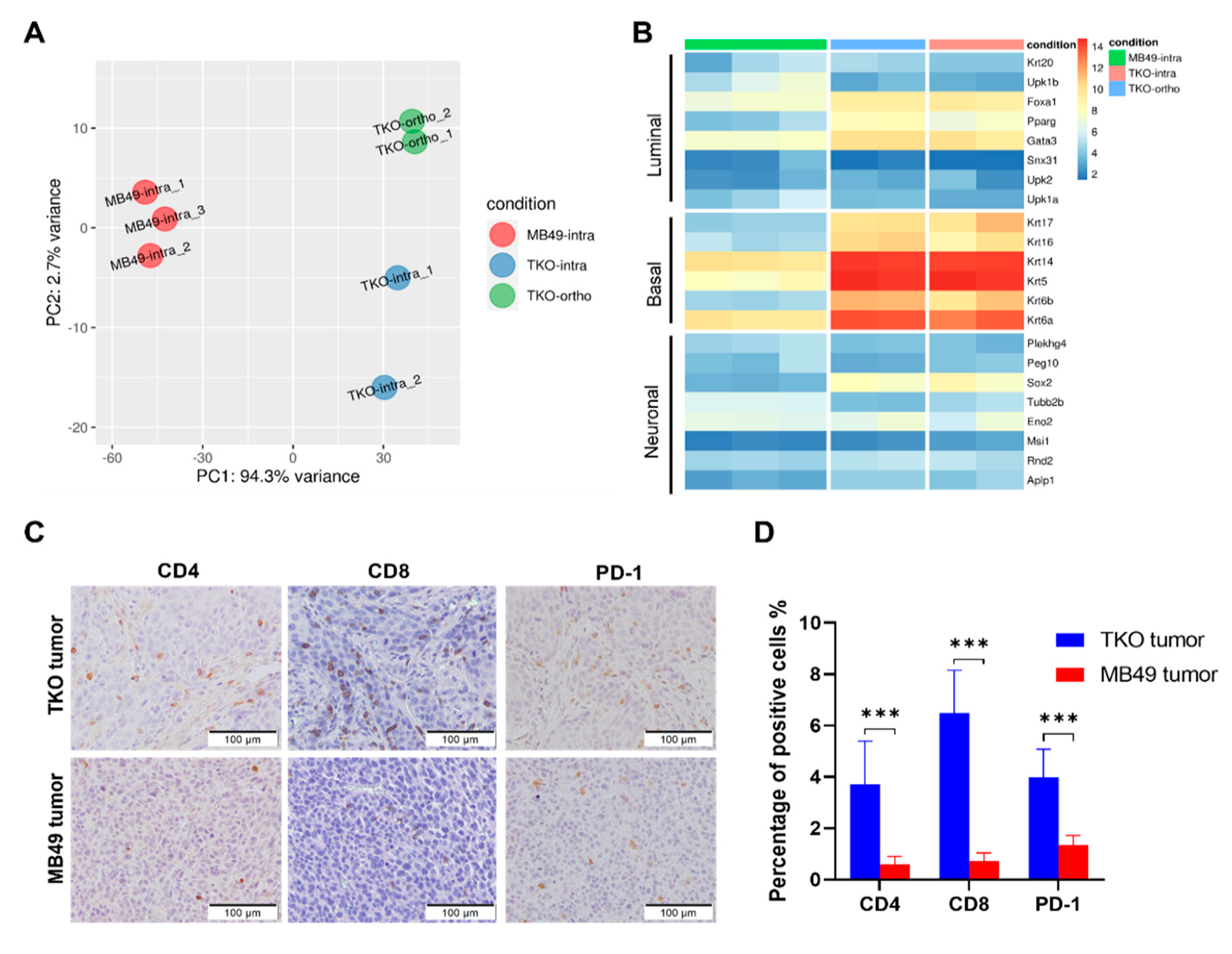 Cancers 14 02511 g003 Cancers 14 02511 g003