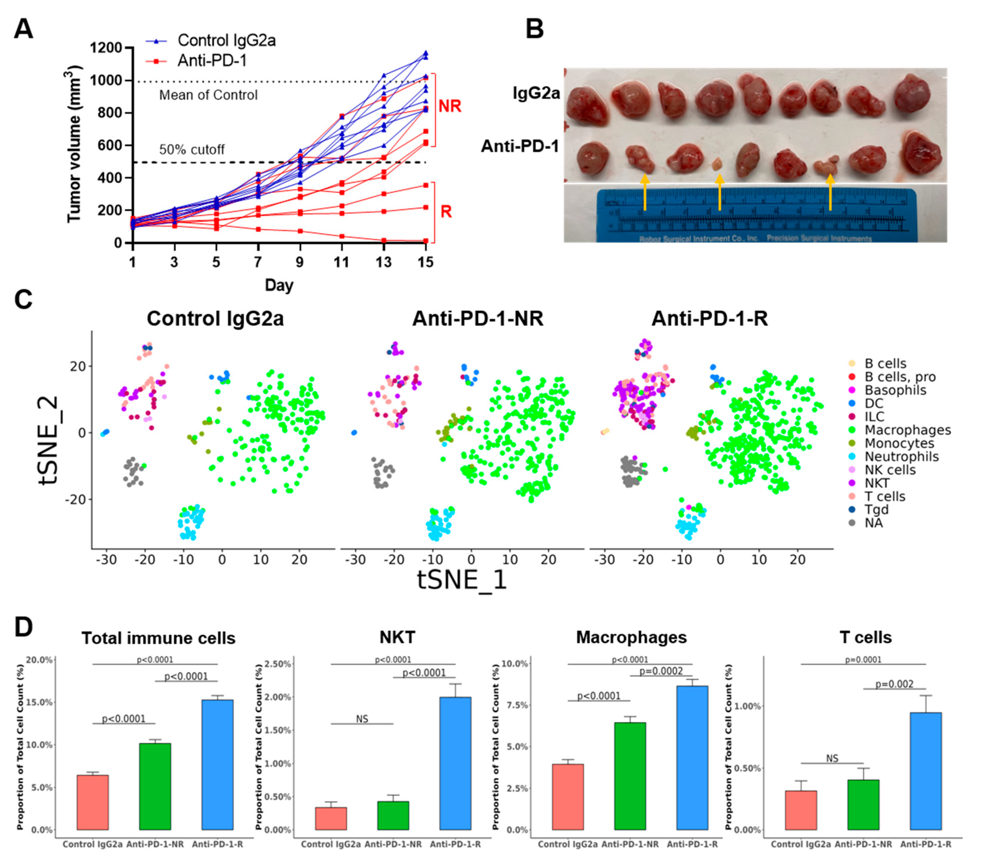 Cancers 14 02511 g004 Cancers 14 02511 g004