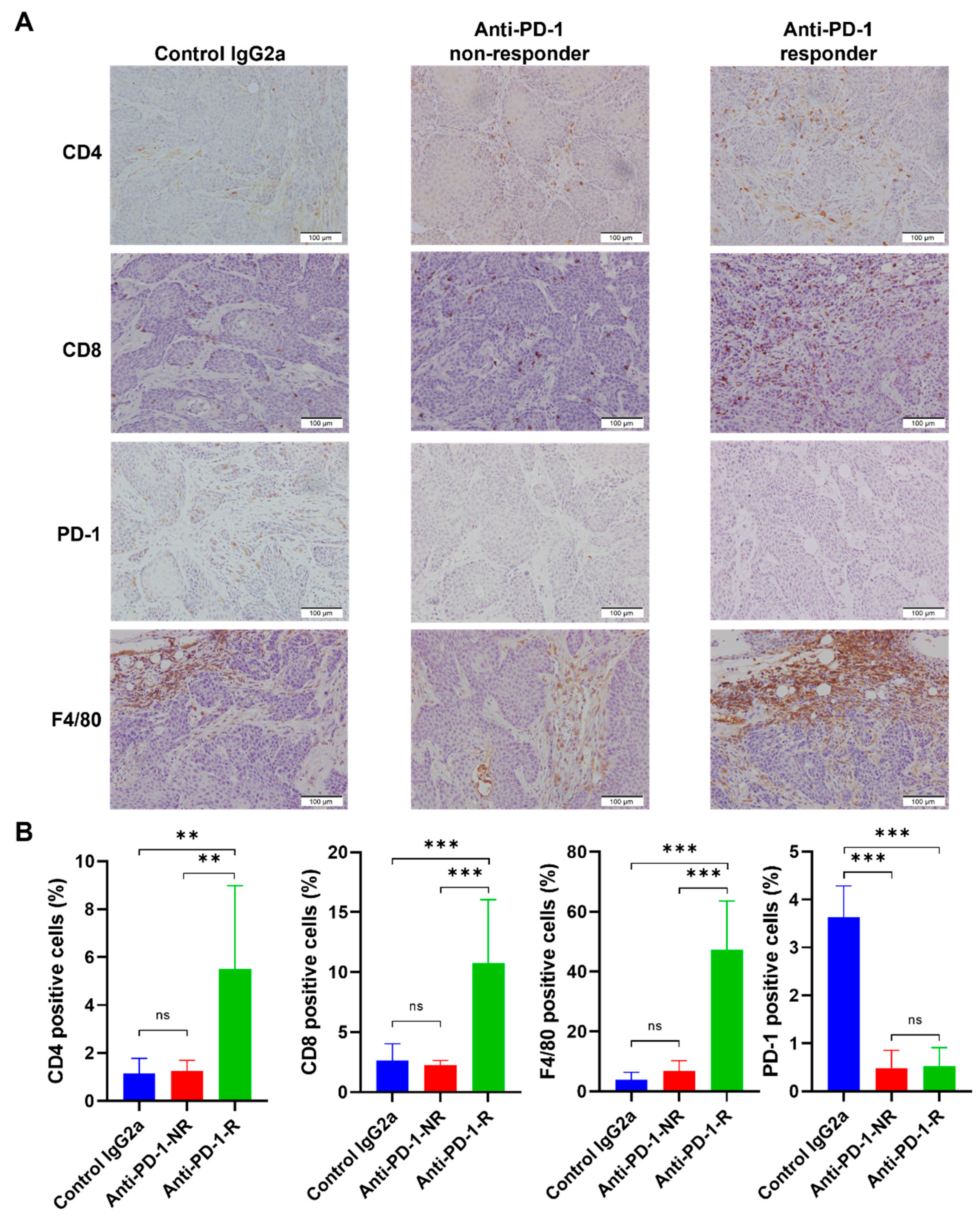 Cancers 14 02511 g005 Cancers 14 02511 g005