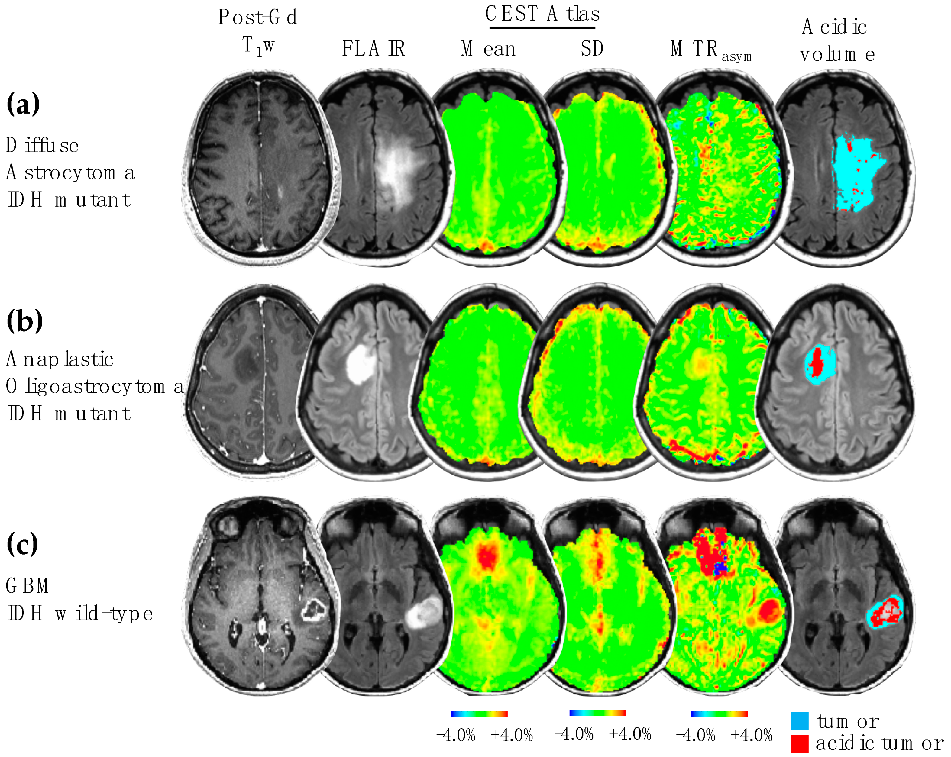 Cancers 14 02520 g002