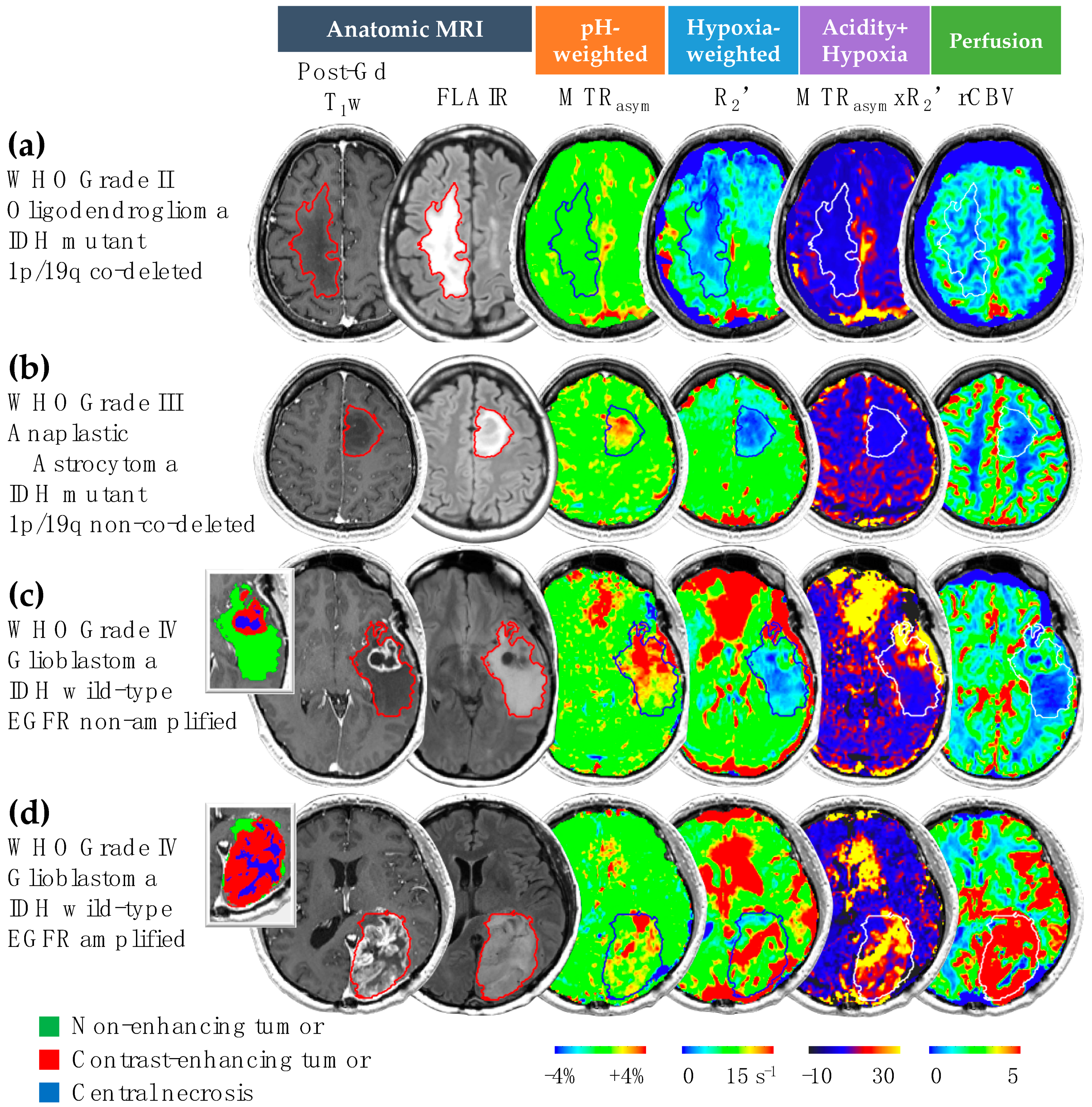 Cancers 14 02520 g003