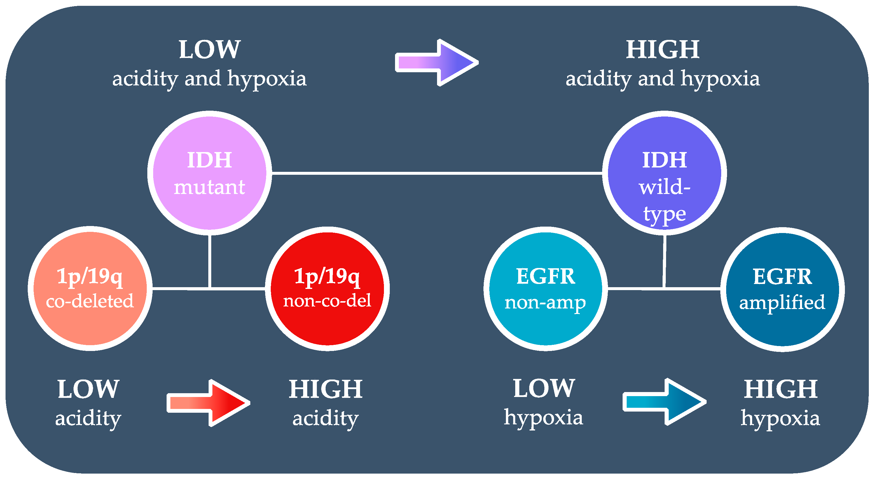 Cancers 14 02520 g009